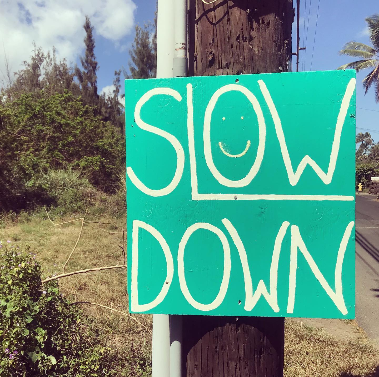 🌕Q U A L I T Y🌕
-
Today’s full moon in Taurus reminds us to slow down. It brings with it a supportive teaching of quality over quantity. -
The older I get the more importance I place on the quality of my relationships versus the amount of friends I have. Or investing in higher quality articles of clothing over having a ton of fast fashion pieces. The quality of what I put into my body instead of reaching for whatever is easiest or cheapest. The time I spend each day as I choose to say yes or no to activities that support my values and my goals.
-
While we live in a fast, modern world, this moon gives us the permission to take a step back and decide how we want to show up. Where we want to place our attention. How we can better take care of ourselves to better show up. -
We can remind ourselves we don’t need to be doing more, consuming more, having more. We are enough. We really are.
-
So, the next time you set into that go go go mode, I challenge you to pause and sit with that feeling. Ask yourself why you need to be doing. Ask yourself if these actions truly align with your truest self or if it is a product of what we think we should be doing. 🙏🏼 #slow #slowdown #fullmoon #fullmoonintaurus #quality #qualityoverquantity #showup #pause #selfreflection #align #trueself #yogaeveryday #yogaoffthemat #hawaii #yogahawaii #fullmoonteachings