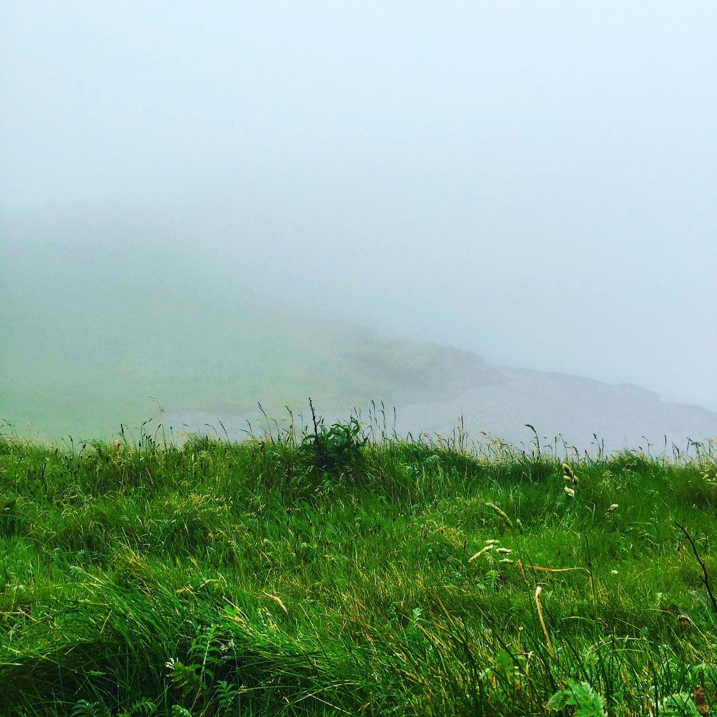 It’s hard to tell, but this photo was taken at the Cliffs of Moher. We were just unfortunate enough to be there on a day so foggy you couldn’t see anything, and to be in a different country the next day. Guess all that means is that we need to go back! ..... Read more about our time in Ireland on our blog using the link in the profile!