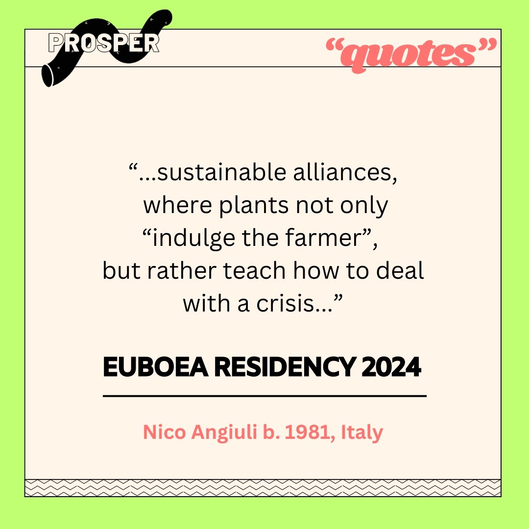 what stood out in this application amongst the other 230? Each selected resident brings in a perspective on how people and nature deal with wildfires. We can't wait to see the results at the public opening at the end of the residency!
#artist #artresidency #artistresidency #euboea #evia #eviaisland #greece #quotes #wildfire #nature #documentary #sustainability #farming