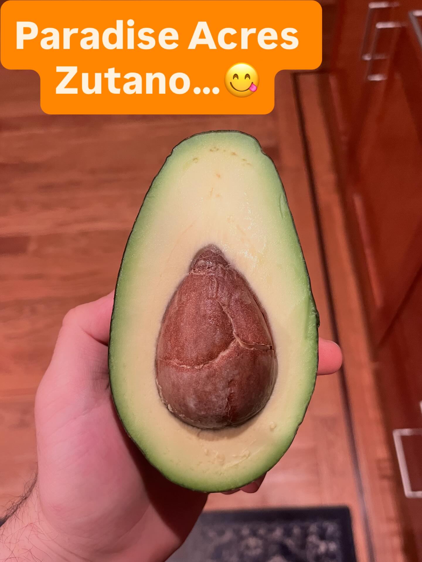 Avocado comparison, no filter 🥑😂
Left: local Zutano — big, bright green, thin skin, living its best life.
Right: store-bought Hass — smaller, already cut, questionable brown spot…
Ugly? Nahh. Fresh? Absolutely.
Shop local. Your toast deserves better. 🌱