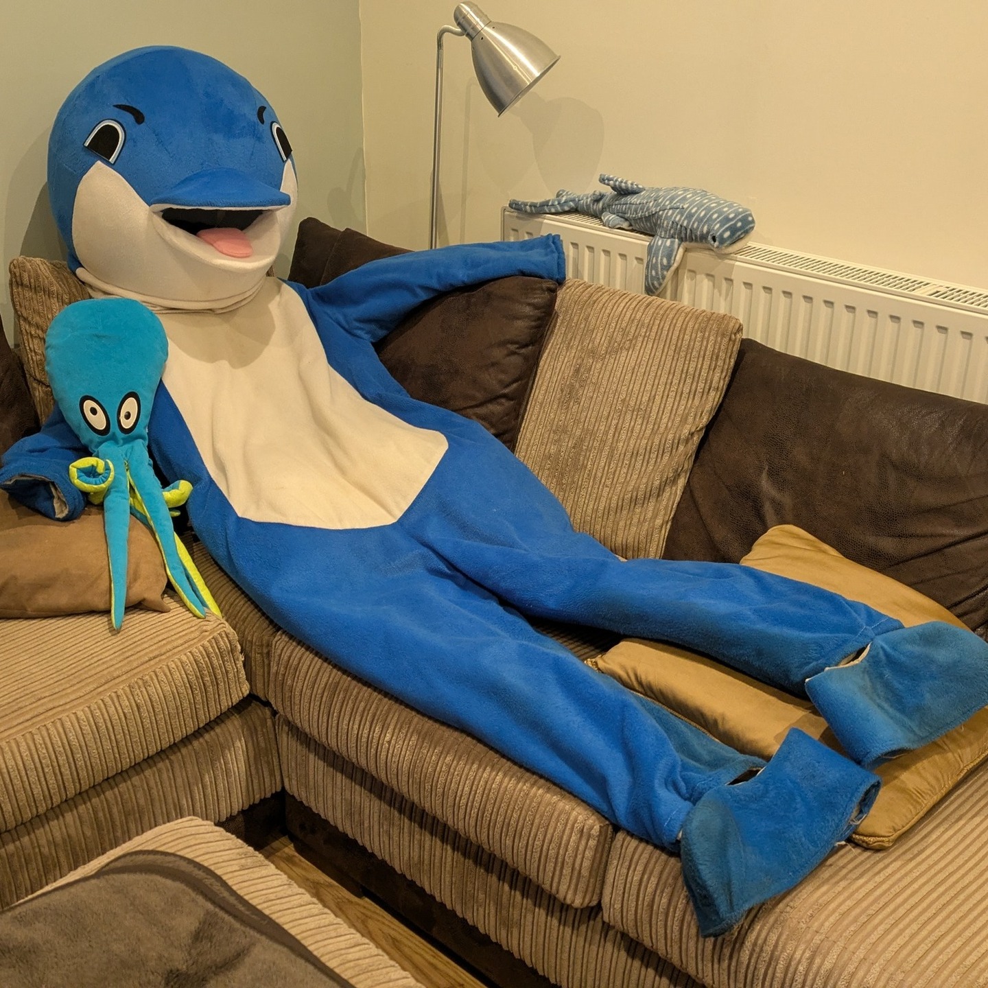 The 2nd week the dolphin has taken time off @parkrunuk due to fin injury but today it's time to celebrate as the High Seas Treaty enters into force, launching a new era of global ocean governance.
2 min explainer video: https://www.youtube.com/shorts/IcUsss8q1Zs
And the dolphin, will be back soon