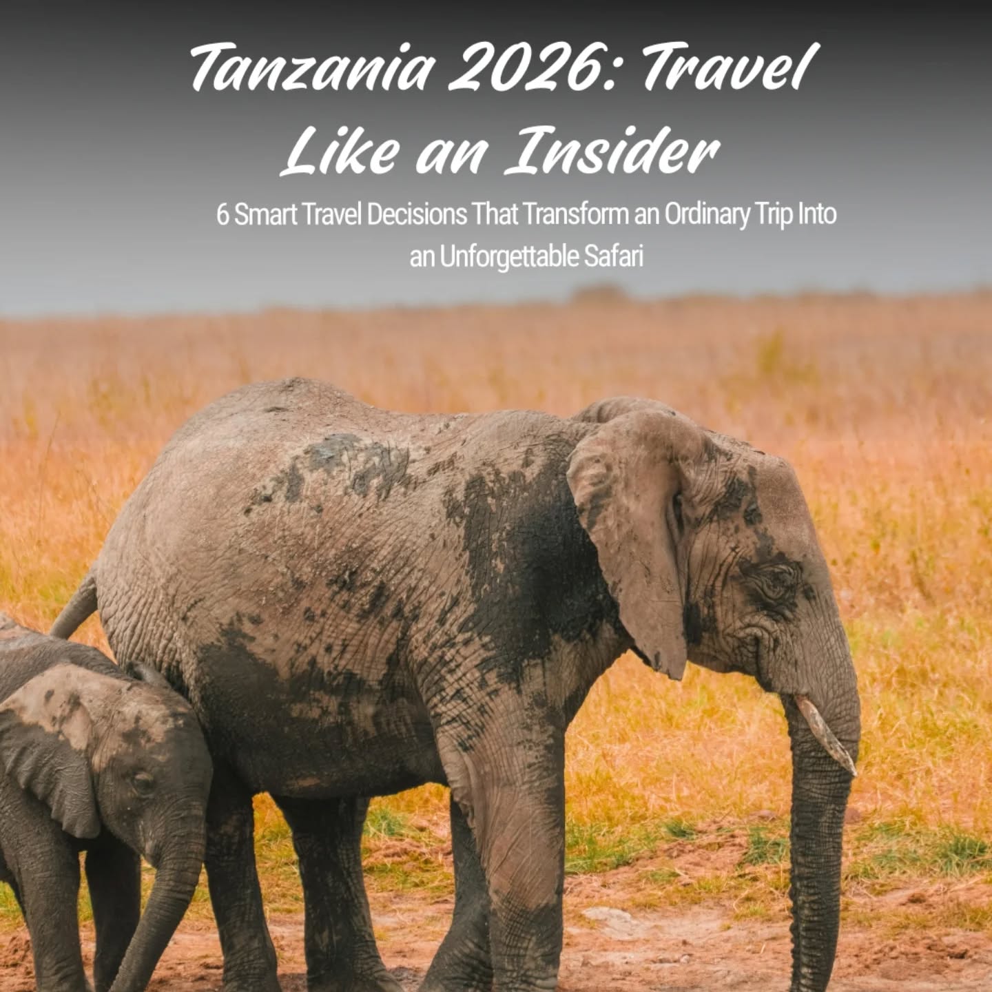 Most safaris look the same on paper.
The difference is how you plan them.
Tanzania 2026 is not about doing more — it’s about doing it right.
These six insider decisions are what separate a rushed trip from a truly unforgettable safari.
Travel informed. Travel deeper.
— Gnade Safaris
#TanzaniaSafari #SafariPlanning #GnadeSafaris #TravelSmart #SafariExperts