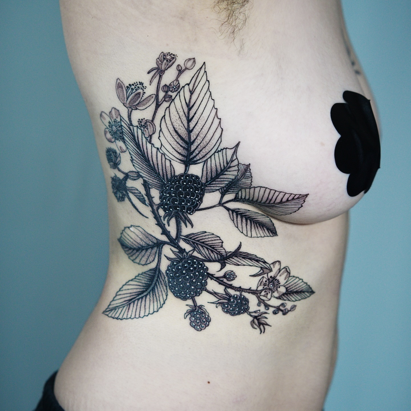 Blackberry 2-2 for Mara π€
#botanicallinedrawing #illustrativetattoos #hiralupetattoo