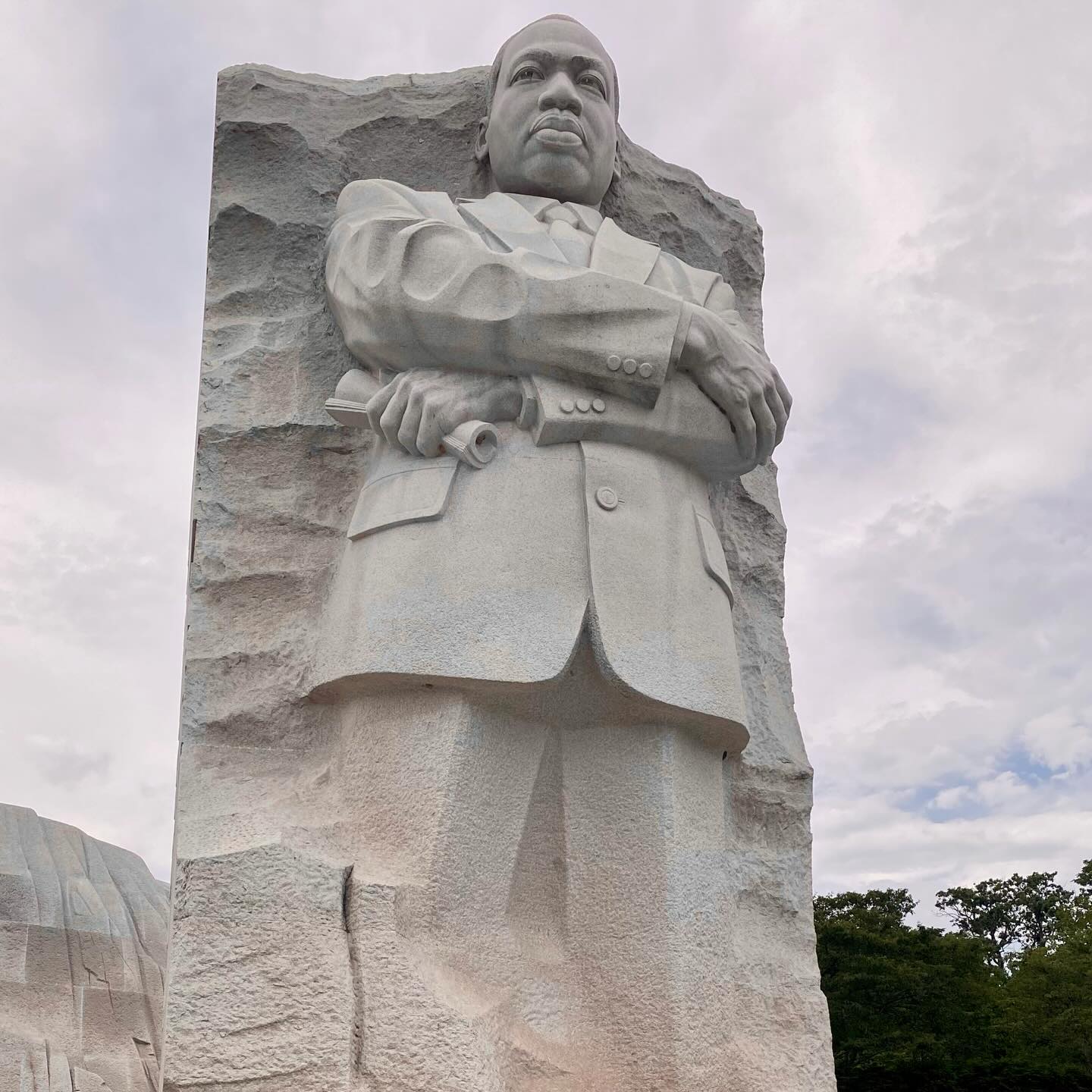 “If you can’t fly then run, if you can’t run then walk, if you can’t walk then crawl, but whatever you do you have to keep moving forward.” -Rev. Dr. Martin Luther King Jr.