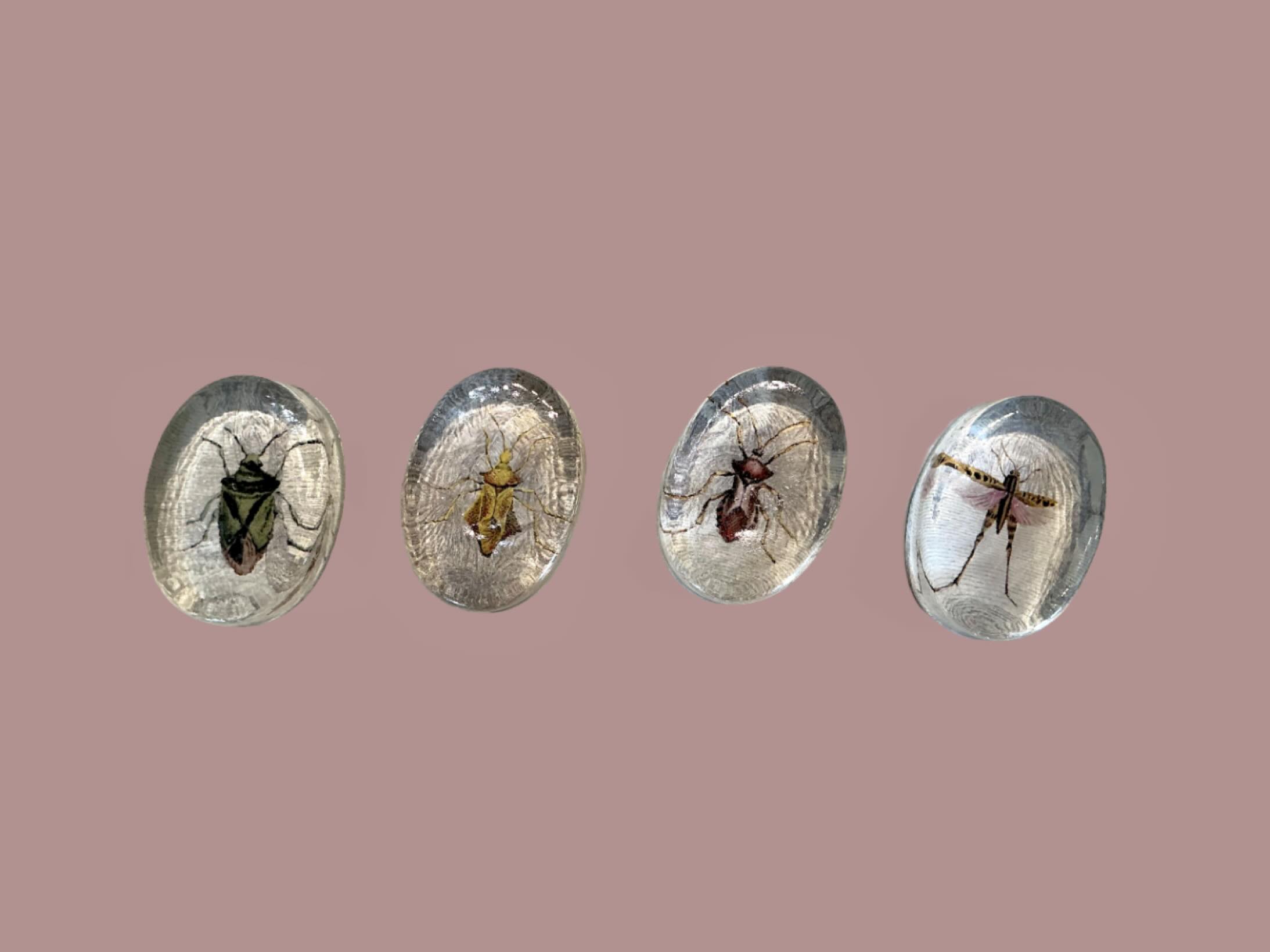 New bug paperweights… #paperweight #homeinterior #homedecor #gifts #garden #deskdecor #supportsmall #supportlocal #smallshop #shoplocal #marlborough #wiltshirebusiness #wiltshire #shoppingday #comevist #dogfriendly #dogsarewelcome