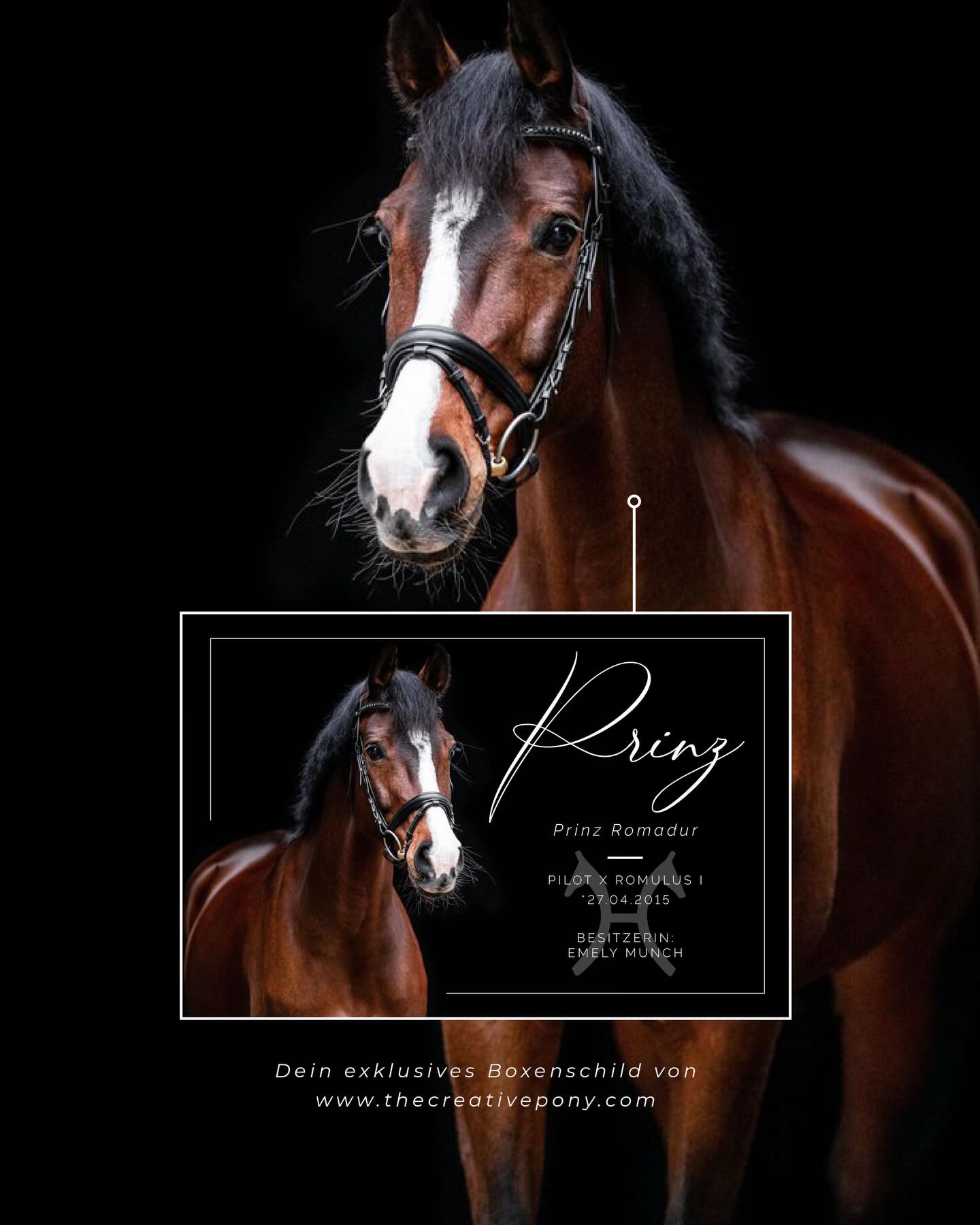 Boxenschild „BLACK“ 🖤 ➡️ Wusstet ihr schon, dass ihr nicht immer die perfekten Fotos vor schwarzem Hintergrund haben müsst? Auch „normale“ Fotos gehen für dieses Design, dein Pferd wird dann freigestellt (also vom ursprünglichen Hintergrund gelöst) und auf eine schwarze Fläche gesetzt. 💫
Fragt im Zweifel gerne nach, ob sich euer Foto eignet. ☺️
#boxenschild #pferdeschönheiten #pferdefotografie