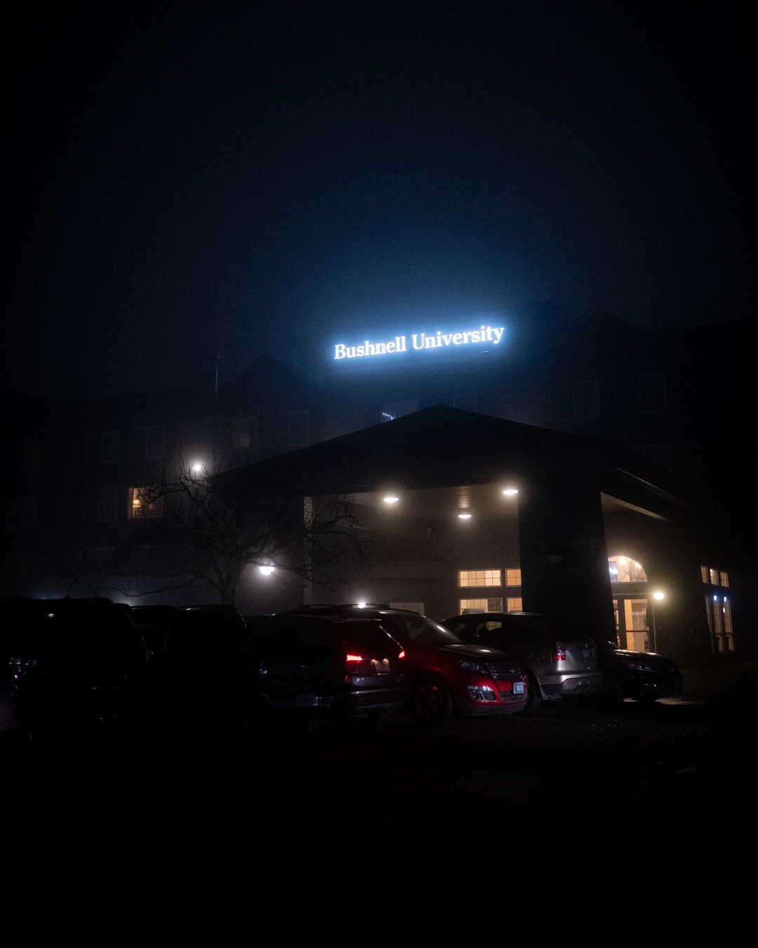 It may be a wintry, foggy, and cold time of year again, but we’re still shining bright! 💡