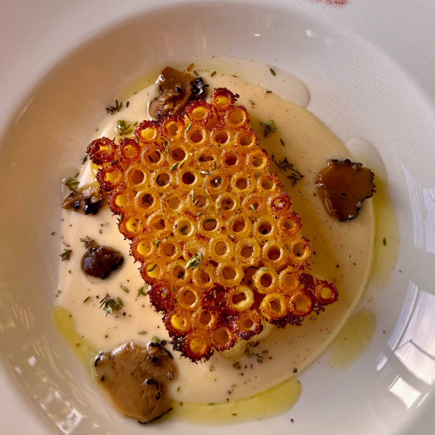 The ultimate Mac and Cheese 2.0.
Local ingredients. New technology.
That's the Ruffino World.
A gastro hotel in Marche.
Why Marche is the Destination of 2026!
Travel experts are in unanimous agreement: 2026 is the year the world truly discovers Marche. While other regions lean into the commercial, Marche has preserved its soul. It remains the most authentic part of Italy—a place where you find harmony, a healing calm, and what is arguably the most beautiful nature in the entire "boot."
Locals and visitors alike speak of "the power of food"—the ability of a meal to unite people and create lasting harmony.
Sitting at the table at Ruffino, with a Mac and Cheese 2.0 before you understand exactly what they mean.
casasanruffino.com