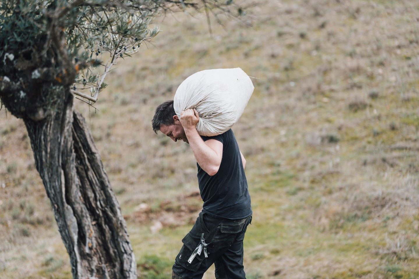 𝗗𝗲 𝗼𝗼𝗴𝘀𝘁 𝗶𝘀 𝗯𝗶𝗻𝗻𝗲𝗻! Zoals we eerder deze week al lieten zien, hebben we maar liefst 𝟴.𝟬𝟬𝟬 𝗸𝗴 𝗼𝗹𝗶𝗷𝘃𝗲𝗻 geoogst 🌿
Vele handen maakten licht werk en we zijn superblij met iedereen die heeft geholpen met het olijven plukken! Ervaren plukkers en minder ervaren plukkers, ze hebben allemaal de steile hellingen getrotseerd om zoveel als mogelijk olijven van de bomen te halen.
We kijken er enorm naar uit om binnenkort de eerste bestelling in Nederland te ontvangen met olijfolie van de nieuwe oogst. Wordt vervolgd!
#olijfoogst #nieuweoogst #valledelospedroches #extraviergeolijfolie #ecologisch #ambacht #olijfolie
//
¡𝗟𝗮 𝗰𝗼𝘀𝗲𝗰𝗵𝗮 𝘆𝗮 𝗲𝘀𝘁á 𝗹𝗶𝘀𝘁𝗮! Como ya mostramos esta semana, hemos cosechado nada menos que 𝟴.𝟬𝟬𝟬 𝗸𝗴 𝗱𝗲 𝗮𝗰𝗲𝗶𝘁𝘂𝗻𝗮𝘀 🌿
Muchas manos hicieron el trabajo más ligero y estamos muy contentos con todos los que han ayudado a recoger las aceitunas. Recolectores experimentados y menos experimentados, todos ellos han desafiado las empinadas laderas para recoger tantas aceitunas como fuera posible de los árboles.
Estamos deseando recibir pronto el primer pedido en los Países Bajos con aceite de oliva de la nueva cosecha. ¡Continuará!
#cosechadeaceitunas #nuevacosecha #valledelospedroches #aceitedeolivavirgenextra #ecológico #artesanía #aceitedeoliva