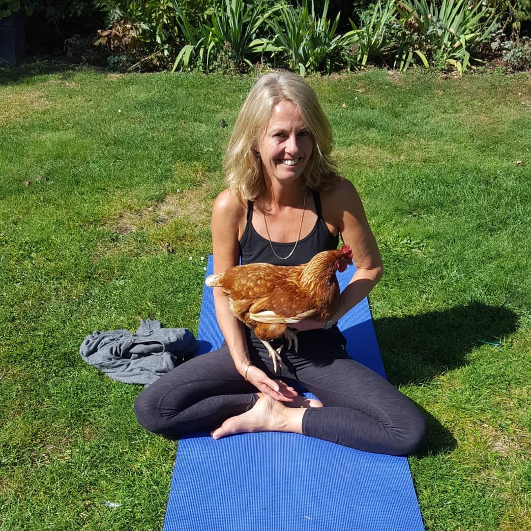 Yoga tonight 6.30 at home but minus the chickens