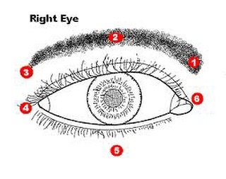 Accupressure for your eyes based on Traditional Chinese Medicine
To improve blood flow, energy and reduce mental fatigue try these acupressure points around the eyes.
Apply pressure to your comfort level and massage gently in circles. Use your index finger middle finger and ring finger. Apply gentle pressure feeling the skin move beneath the pads of your fingers. Be gentle and focus on your breathing.
#worklife
#lifework
#giveyoureyessomelove
#onlygettingonesetofeyes
#setatimer
#goodpractice
#buildingyourawarenessforselfhealing