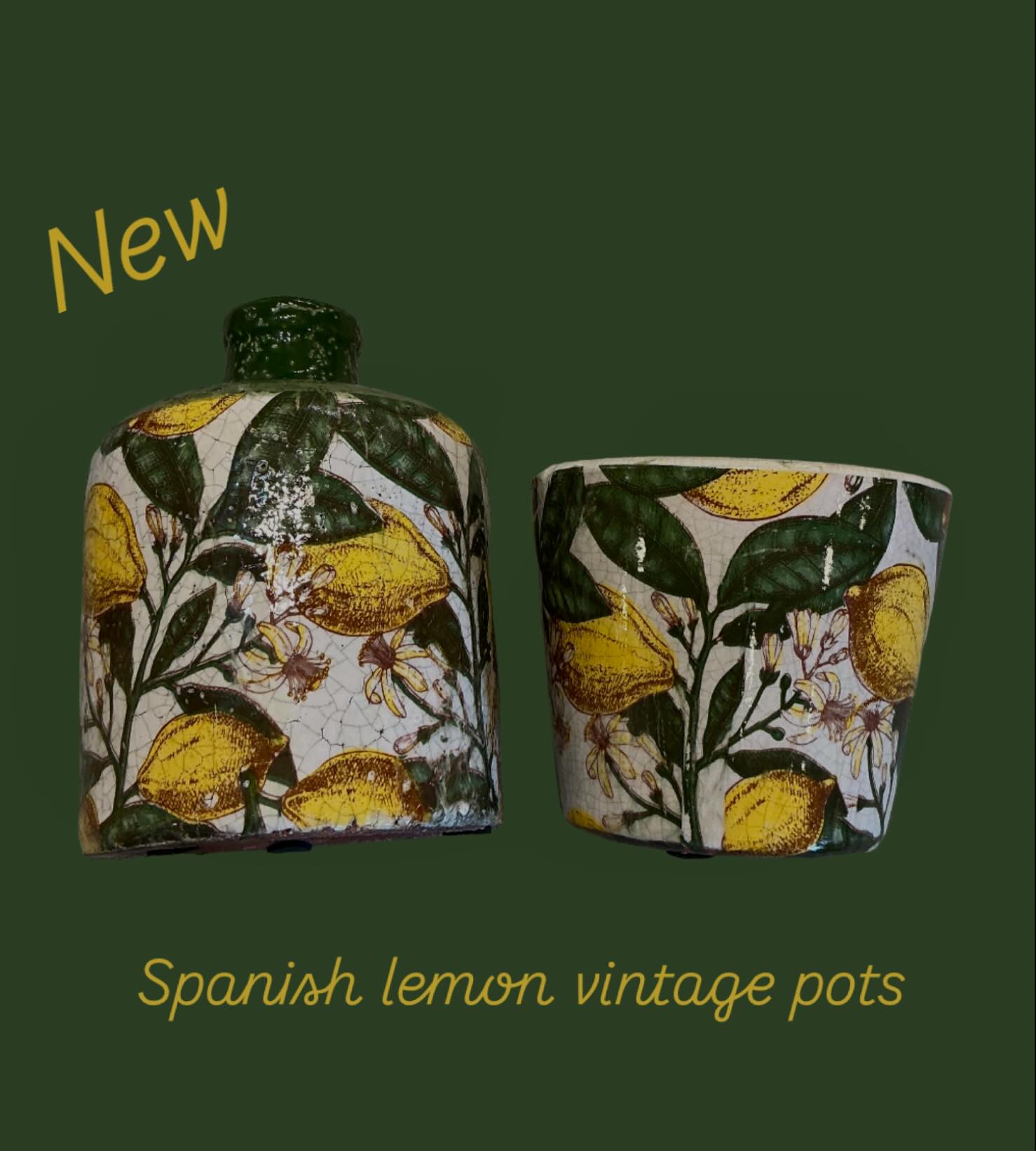 New Spanish lemon vintage style pots and vase bottle #vintagestyle #vintage #spanish #lemon #design #homeinterior #homedecor #beautifulhomes #gifts #garden #pots #potsforplants #sopretty #dogfriendly #dogsarewelcome #comevist #shopsmall #shoplocal #supportsmallbusiness #localbusiness #marlborough #wiltshire