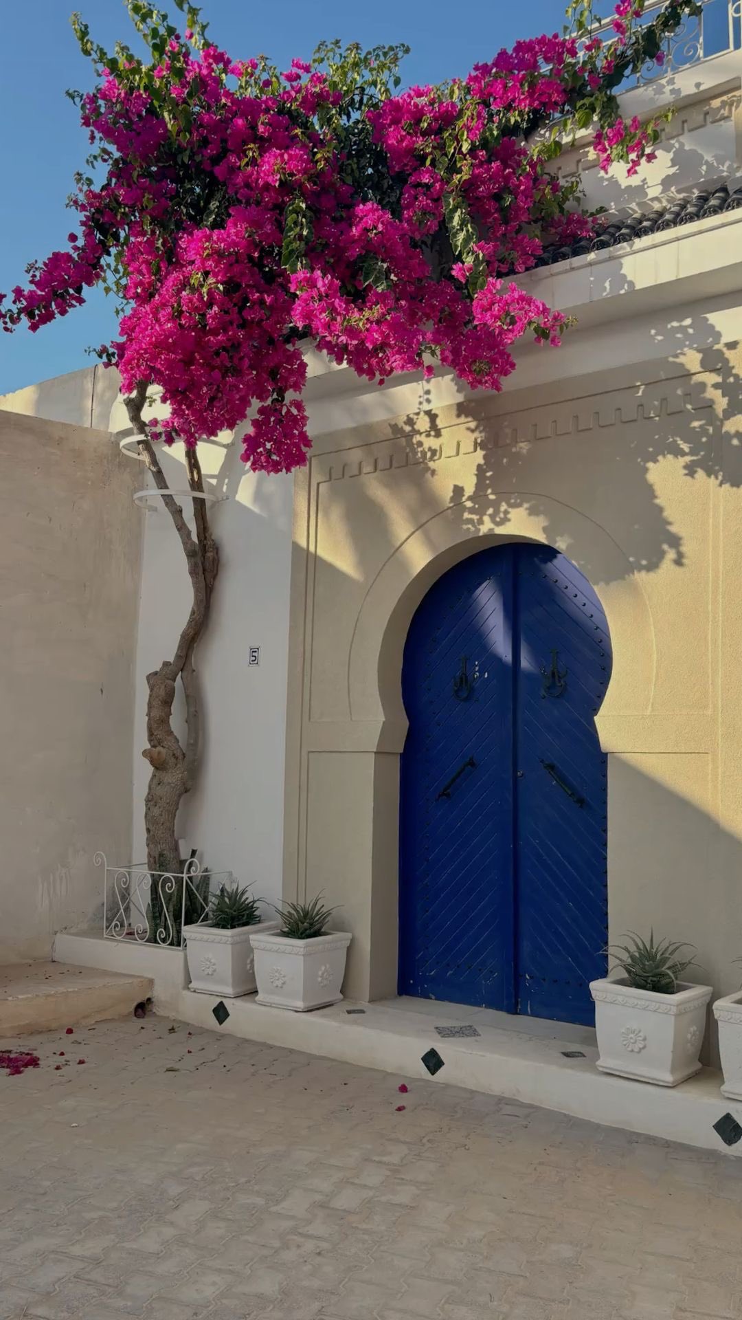 🇹🇳 ✨Bringing the rhythm of Tunisia to unforgettable events
#TunisianVibes #EventAgency #CulturalEvents #LiveMusic #eventsdarfarha