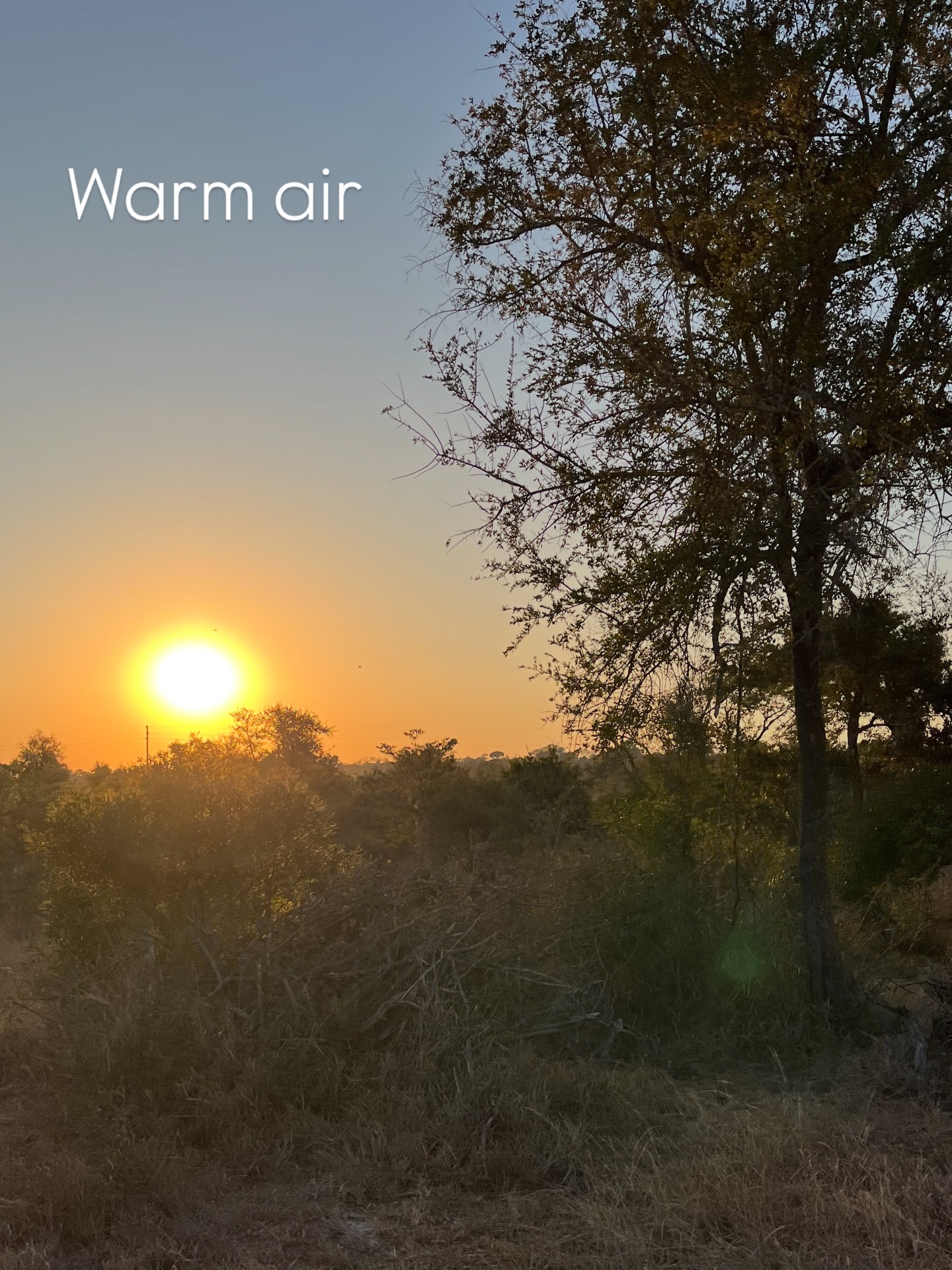 Some places just have a rhythm, and the bush at Siviti is one of them.
Warm air, soft quiet, animals moving through the trees like they own the place… it’s the kind of setting that feels alive but never loud.
Whether you’re out on drive or just sitting on the deck listening to the bush breathe, Siviti has this way of slowing everything down while still giving you those “wow” moments.
Cool, tranquil, and unmistakably wild, that’s the vibe.
#safari #africansafari #wildlifeofsa #wildlifesafari #wildlifeofinstagram krugernationalpark thornybushgamereserve luxurysafari luxurysafarilodge travelsouthafrica southafricasafari big5 conservation thisissouthafrica soulful_moments wildlife