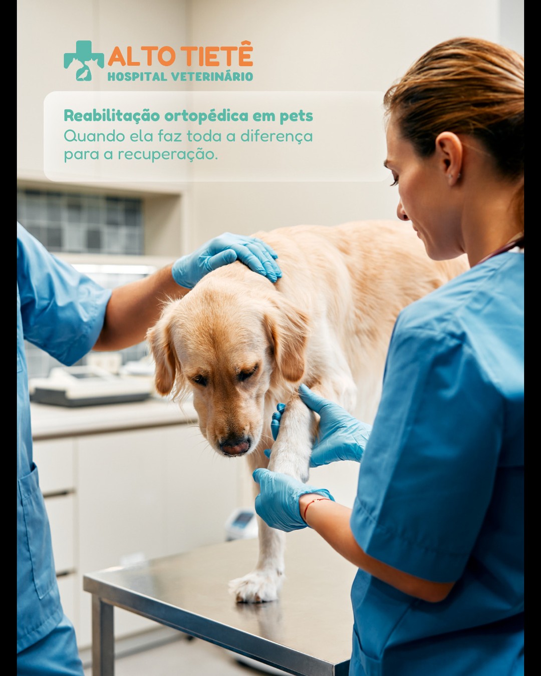 A reabilitação ortopédica é parte essencial na recuperação de muitos pets após cirurgias, fraturas ou doenças articulares.
🐕💪 Com técnicas como esteira aquática, laserterapia e eletroestimulação, conseguimos aliviar dores, devolver mobilidade e acelerar a volta à qualidade de vida.
No Hospital Veterinário Alto Tietê, contamos com uma estrutura completa e profissionais capacitados para cuidar do seu pet com carinho, técnica e acompanhamento individualizado.
📍Atendemos Arujá, São Paulo e região.
📞 Agende uma avaliação!
#FisioterapiaVeterinária #ReabilitaçãoAnimal #HospitalVeterinárioAltoTietê #SaúdePet #OrtopediaVeterinária #PetsFelizes