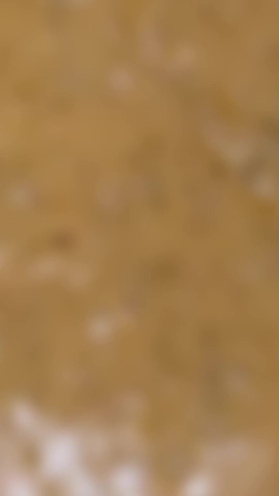 Stop settling for bland chicken. Get that authentic Peri Peri kick you’ve been craving. 🤤
Available in:
✨ Grill
✨ Fried
✨ Burgers & Wraps
Come and enjoy the heat!
#periperi #streetfood #chickenwraps #foodreels