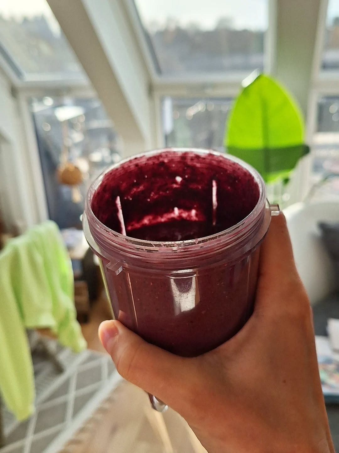 Antientzündlich durch Heidelbeeren und Himbeeren
Immunsystemstärkend durch Proteine aus Ringana d-eat, Buchweizenkeimlingen, Sonnenblumenkernen und Sesam
Regenerierend durch Kurkuma, Ingwer, Zimt und Ashwaganda
Schön cremig durch Banane (Banane liefert zudem extra Mineralstoffe wie Kalium, Magnesium und auch Vitamin B6 und die Aminosäure Tryptophan) -> alles wichtig für ein ruhiges Nervensystem und um das Immunsystem zu aktivieren
Das ist mein kleines Heilgetränk 😊
#smoothie #smoothiesforlife #smoothieliebe #hashimotorecovery #immunfood #nervensystemberuhigen #recovery #recoverydrink