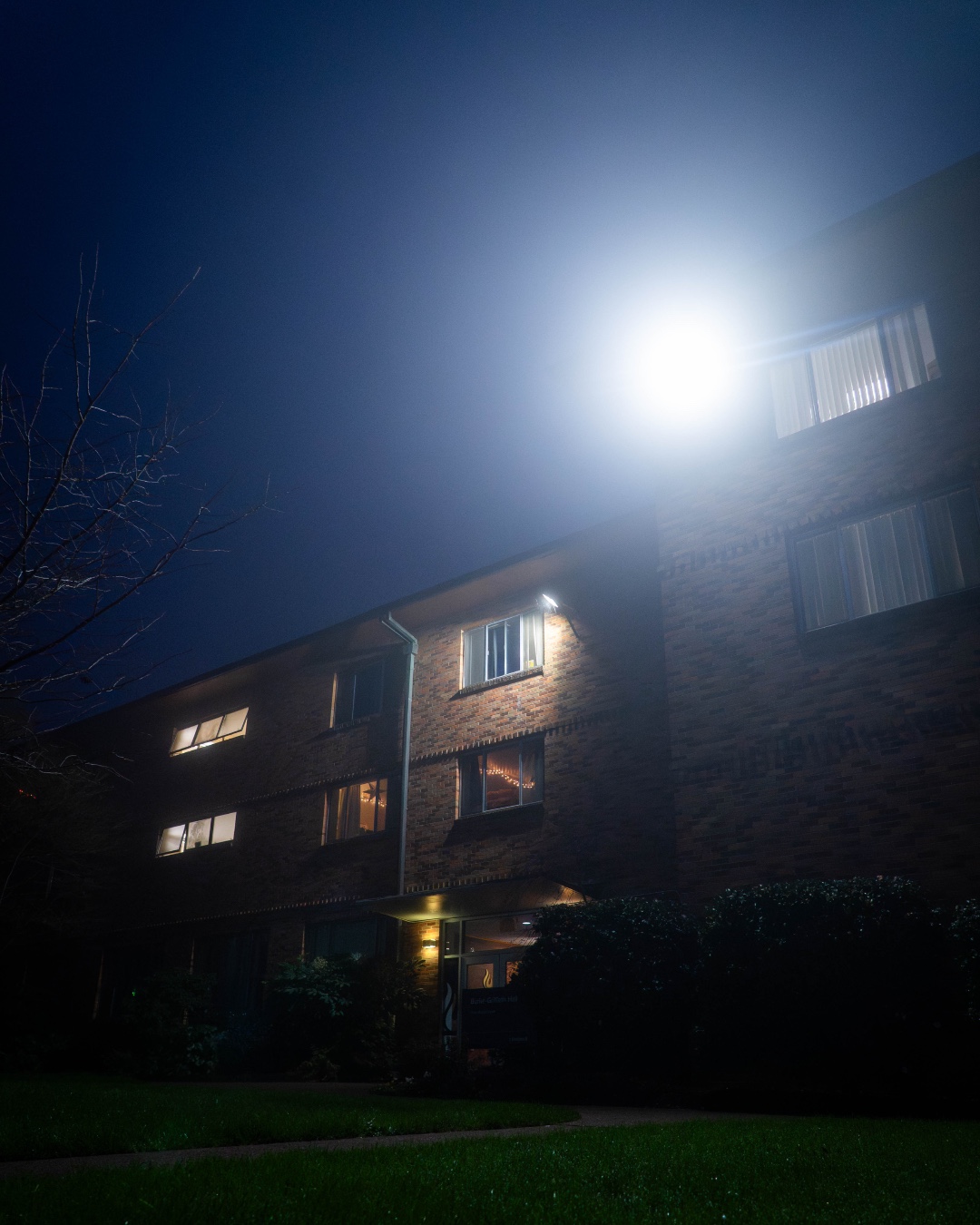 It may be a wintry, foggy, and cold time of year again, but we’re still shining bright! 💡