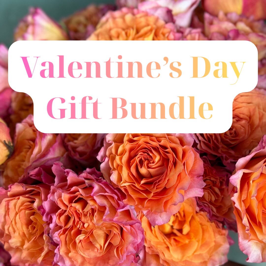 Yesterday I asked a question about our feelings on red roses for Valentine’s Day and the response was pretty clear…we’d like to spice things up this year. So, guys, I’ve got you covered! We’ve got a Valentine’s Day special that’s definitely going to impress her. It includes a dozen GORGEOUS specialty roses to gift on Valentine’s Day AND a spot in our Spring Flower subscription! She’ll get a total of 5 bouquets for not much more than the price of some overpriced roses. Have you seen the prices of Valentines arrangements online? 🫣
Already signed up for spring and just want the Valentine’s Day bouquet? We have an option for that also. Click the link in our bio or visit The Flower shop on our website. Quantity is limited so order now!