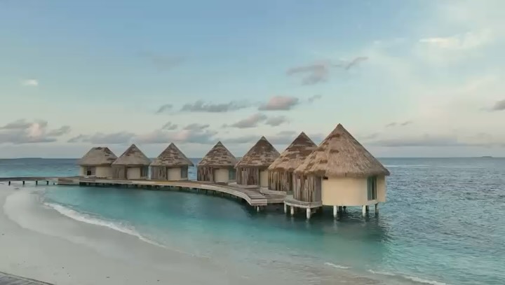 Hi everyone, happy to e-meet you!
Time for small intro as people often ask-what do you do
I’m Elle, and I work with the body’s favourite language: the nervous system.
Here in the Maldives—where the ocean is already doing half the work for us—I offer treatments designed not just to feel good, but to change how your body responds to life.
Most of us don’t realise this, but modern stress isn’t just in the mind—it’s stored somatically in the body. In the jaw, the belly, the neck, the fascia, the breath. Your nervous system is constantly asking one question: Am I safe?
My work is about giving it a very clear, very luxurious yes.
Through practices like somatic therapy, lymphatic work, facial rejuvenation, breath-led movement, and nervous system regulation, we gently guide your body out of survival mode and back into restoration.
Think of it like this:
When your nervous system downshifts, digestion improves. Sleep deepens. Inflammation reduces. Your face softens. Your posture changes. Even your thoughts become clearer. This isn’t woo—it’s biology.
Wanna try some of me treatments? Lemme know-will be looking fwd to hear from you.
Maldives till 20. February
Abu Dhabi end of Feb
Portugal-March
Czech, Austria-April