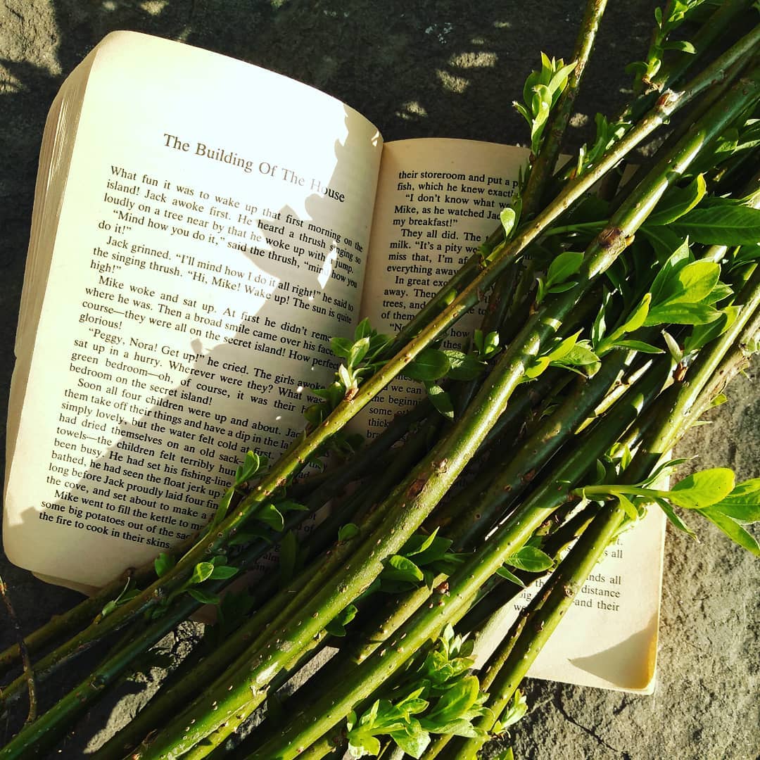 A few weeks ago I cut some willow offshoots from a local obliging tree and, after sitting in water for a few weeks, they have roots and are ready for us to plant our very own Willow House, like in 'The Secret Island' - so much fun! Why not try it?