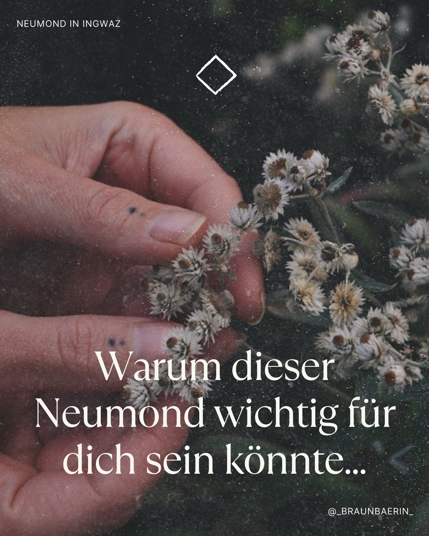 🌑
Am 18. Januar ist Neumond.
Und dieser steht in der Energie der Rune Ingwaz:
der Samen, der tief und still in dir ruht.
Noch unsichtbar, aber schon voller Kraft.
Genau mit diesem darfst und kannst du dich nun ganz bewusst verbinden…
Die nächsten zwei Wochen heißt es:
schützen, sammeln, ausrichten, reifen lassen.
Nicht alles muss jetzt nach außen. Wir sind mitten im Winter angekommen.
Alles, was wächst, wächst nun in deiner Stille. In deinem Schutzraum.
Teile oder speichere gerne, wenn du es spürst.
In Liebe
Kaja 🪶
.
.
.
📷 von meiner Tochter 🤍