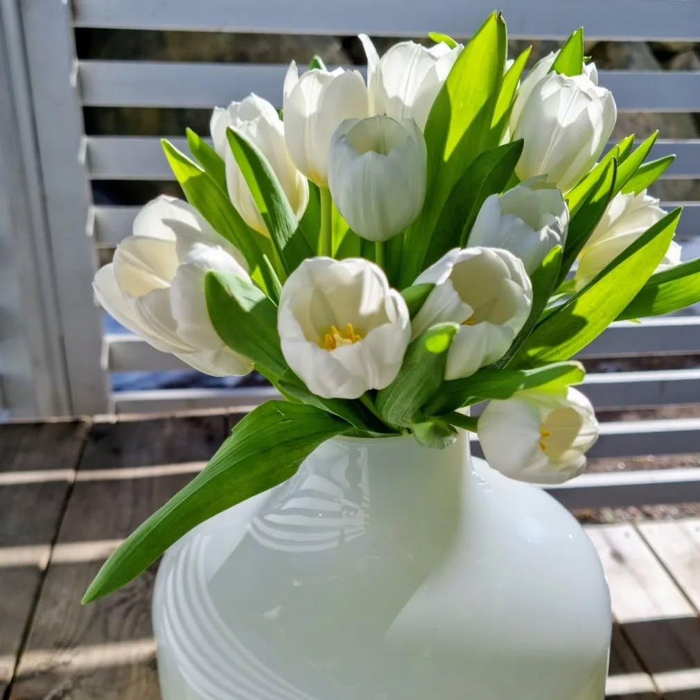 #viherterapia #valkoinen