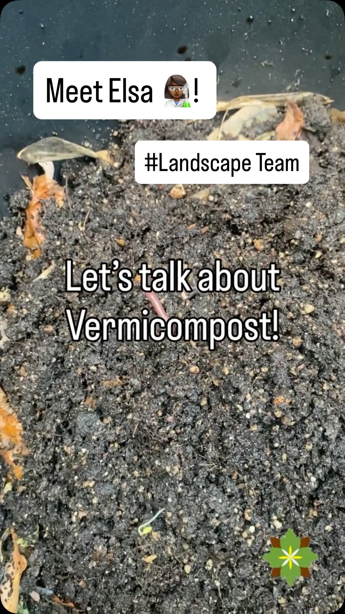 Tip from Dr. Elsa: research shows vermicompost amendments boost your garden’s performance! Here’s what adding 5-15% vermicompost to your soil can do:
🥬🪴Taller, healthier plants (especially leafy greens!) 🍃🌱Increased chlorophyll = greener leaves 🌱Higher yields in kale, radish & tomatoes 🍅 Better nutrient density.
The secret? Worm castings are packed with beneficial microbes and slow-release nutrients your plants crave.
While 15% boosted some crops, 10% vermicompost gave the most balanced benefits across all plants.
Your soil is alive—feed it right! 🪱✨
#Vermicompost #EdibleLandscaping #SustainableGardening #OrganicGardening #SoilHealth #RegenerativeAgriculture #HomesteadGarden #GrowYourOwn #WormCastings #GardenScience #UrbanFarming #KitchenGarden#landscapecooperarive #worms #vermicomposting #explore#fyi