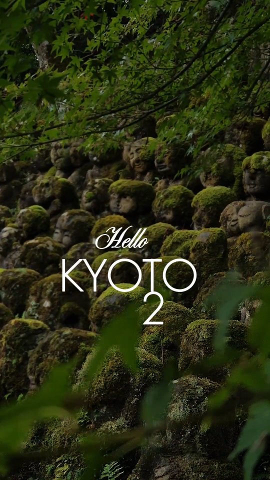 Hello Kyoto 2!
Nature, rain, too many memories, and cringy moments 🤣