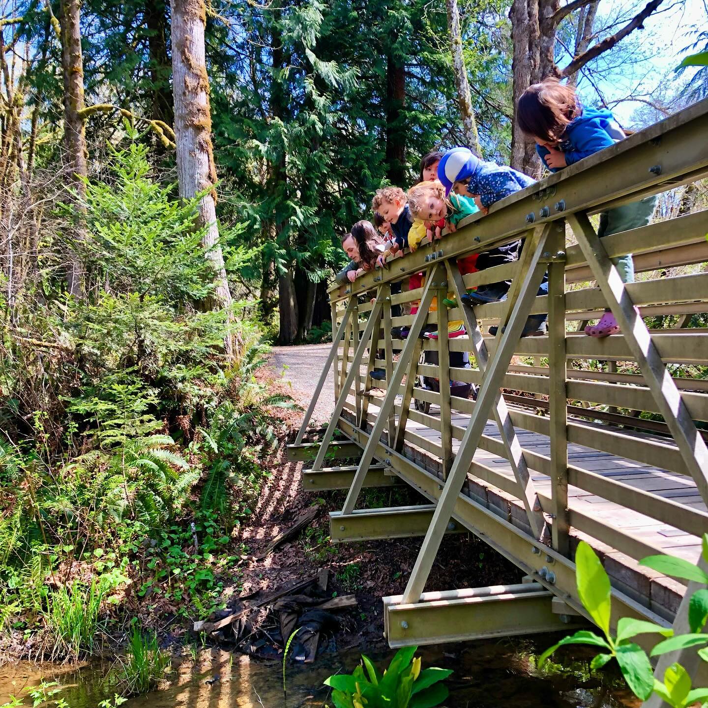 Our mixed-age classroom is like a family. The older students guide the younger ones and motivate them. The younger students look up to and learn from the elders.Ā Without being tied to age as a measure of progress, there is more freedom for children to develop at their own pace.Ā In this way, the norm becomes a wide range of abilities and interests rather than the expectation that everyone is at the same level and doing the same thing the same way.Ā
.
.
.
.
.
#forestschool #forestpreschool #childrensartstudio #outdoors #outdoorkids #outdooreducation #outdoorlearning #optoutside #naturebasedlearning #learningthroughnature #wildschooling #rewildyourchild #classroomwithoutwalls #cedarsongway #placebasededucation #natureschool #natureplay #naturekids #pnwkids #pnwkids_washington #olympia #olympiapreschool #olympiawashington #pacificnorthwest #wildandfreechildren #interestledlearning #learnwiththeland #ancientfuturespbe