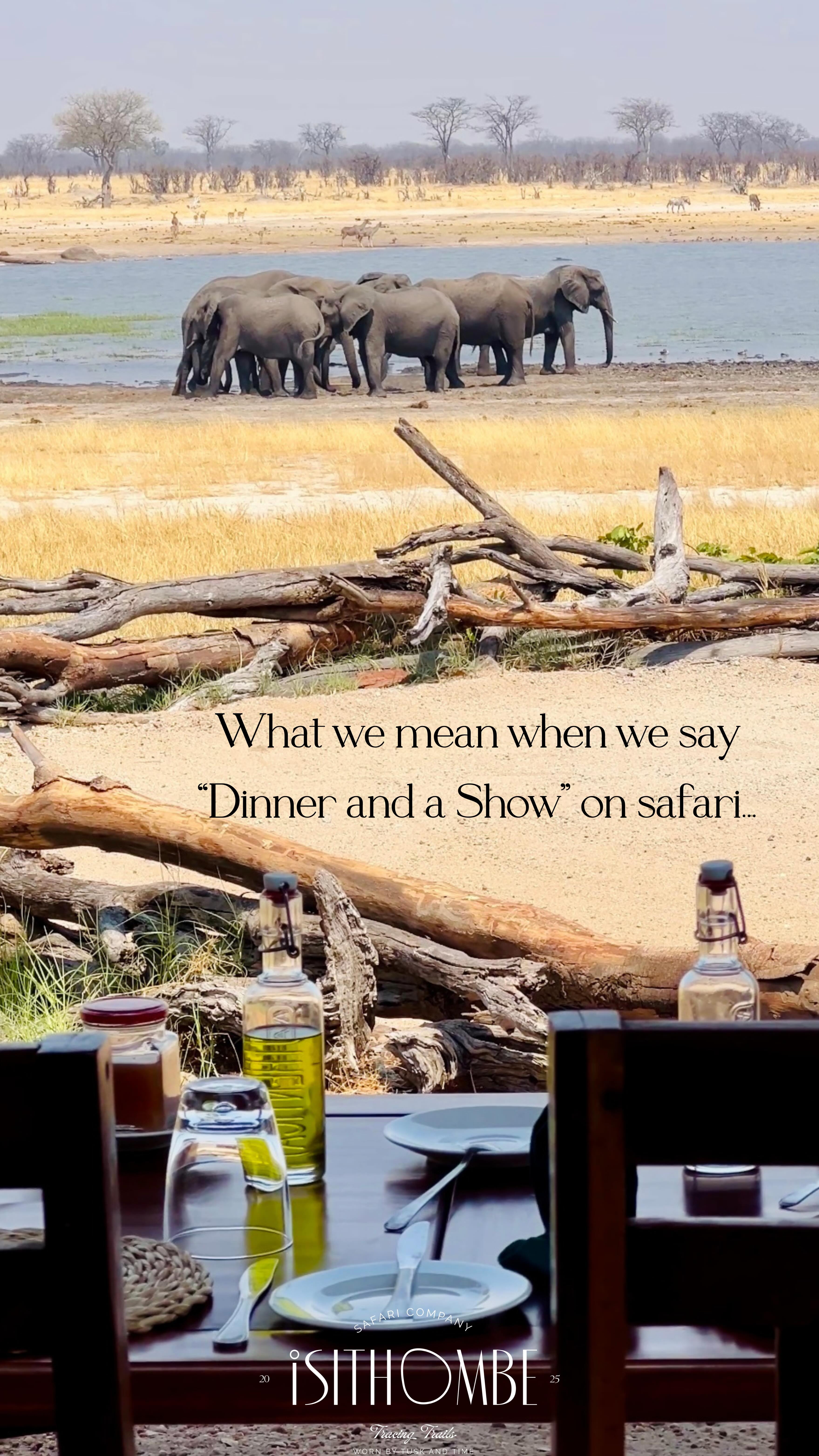 As the table is set and the sun begins to soften, the bush steps onto center stage.
A clink of glasses. 🥂
A slow-moving herd in the distance. 🐘
No curtains, no script, just nature unfolding exactly as it should.
At Isithombe Safaris, dinner is never just a meal. 🍽️
It’s a front-row seat to the wild, where every moment reminds you that you are a guest in something far greater than yourself. 🐞
This is what we mean when we say dinner and a show.
#IsithombeSafaris #DinnerAndAShow #SafariMoments #LuxuryInTheWild #SafariStory