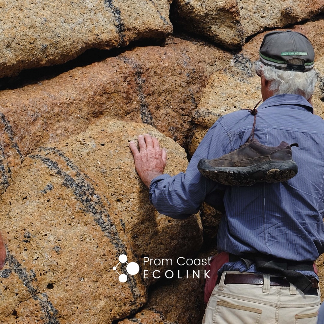 Another chance to join our Prom Granites Geology Beach Walk! 🪨🔎
Join us 9:30 am Friday 23 January for our final walk as part of @coastcare_victoria Summer by the Sea 2026 program.
After our cancellation earlier in the week, we are excited to offer another chance for you to join this unique FREE event, delivered alongside @friendsoftheprom and the Fish Creek Landcare Group.
We have engaged geologist and palaeontologist Mike Cleeland to lead a community walk from the Tidal River campground.
The walk will follow the geological features described in local geologist Gary Wallis’ & Jo Whelan’s booklet Wilsons Promontory – Geology Guide.
A copy of the guidebook is included in your booking to refer to as we take an easy walk along Tidal River and Norman Beach at low tide. Mike Cleeland will bring its contents to life with his expertise in the field, discussing the geological features along the way.
Fingers crossed for a better forecast 🌞
See you there!
🔗 Booking in bio