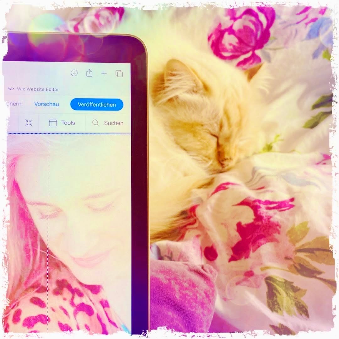 Teamwork is the dreamwork... 🥰
einfachduselbst.com
heliadesign.de
#einfachdusebst #webdesign #essenzcoaching #g4 #beenoone #energietanken #g4 #mitochondrientraining #asanas #mitoboost #naturallifebalance #worklifebalance #beyourself #beyou #stressmanagment #coaching #seminare #empowerment #einfachsein #allesistmöglich #youaredivine
#youaretthefire #dowhatyoulove #getinspired #letsgetcozy #catoffice