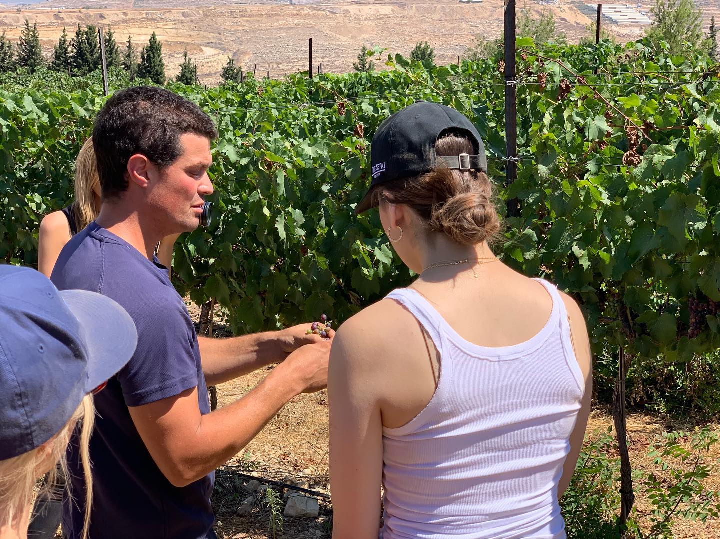 #vinyard #jerusalem #amazing #grapes #wine #israelwines #castelwinery #winemaking #travellocalisrael #jerusalemhills #domaineducastel