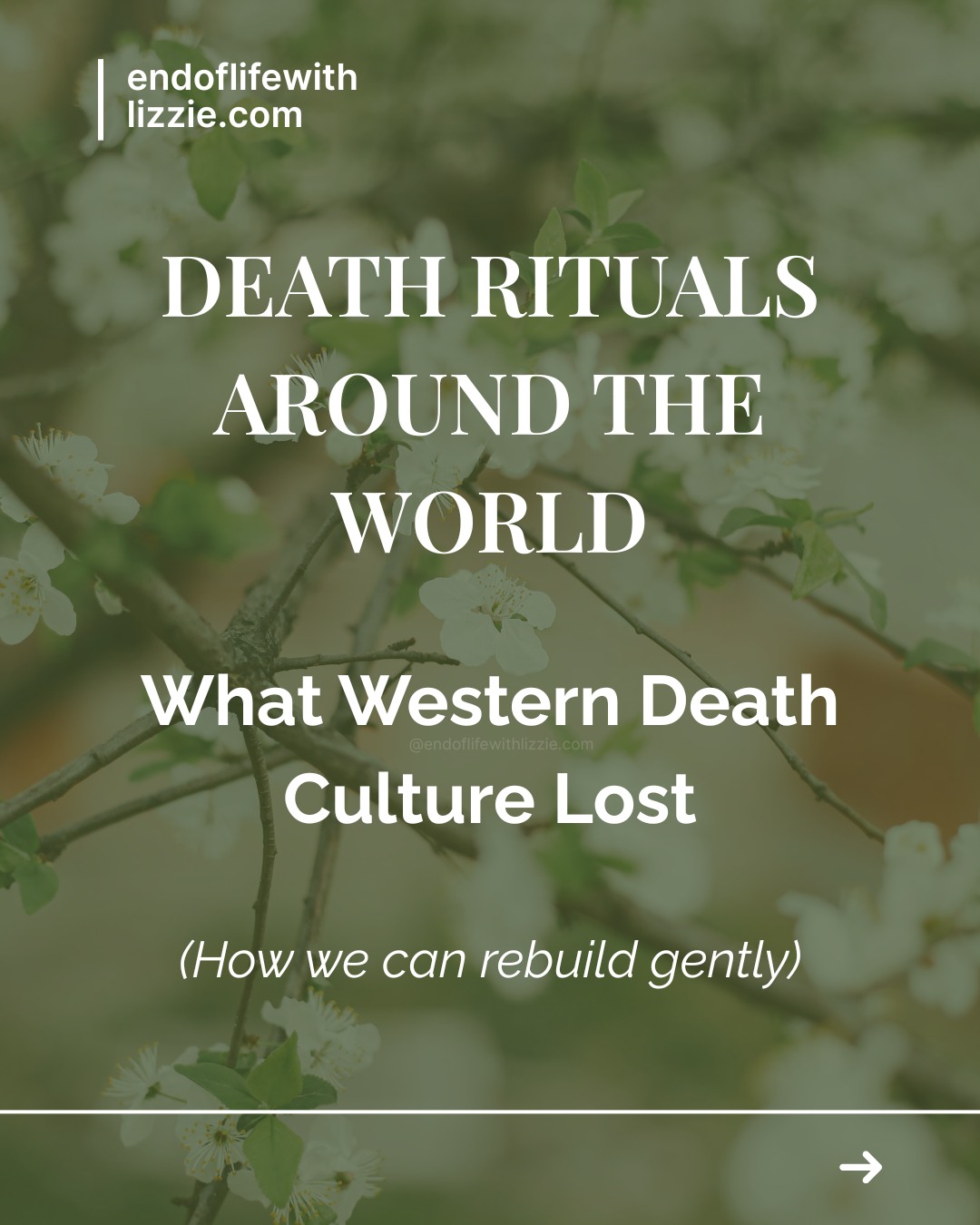 Across this series, we’ve explored how different cultures hold death, not as an ending, as
a continuation of relationship.
In much of the Western world, we lost shared ritual, community witnessing, and everyday
language for grief.
What remains is often silence, fear, and isolation.
Rebuilding connection doesn’t require adopting new beliefs. It begins gently; by speaking
names, creating simple rituals, allowing grief to be seen, and remembering that love does
not end at death.
Perhaps death education is not simply about preparing for dying, maybe it is also about
learning how to live with love, loss, and remembrance all woven together.
#DeathEducation #GriefAndRitual #ContinuingBonds #EndOfLifeCare #DeathLiteracy