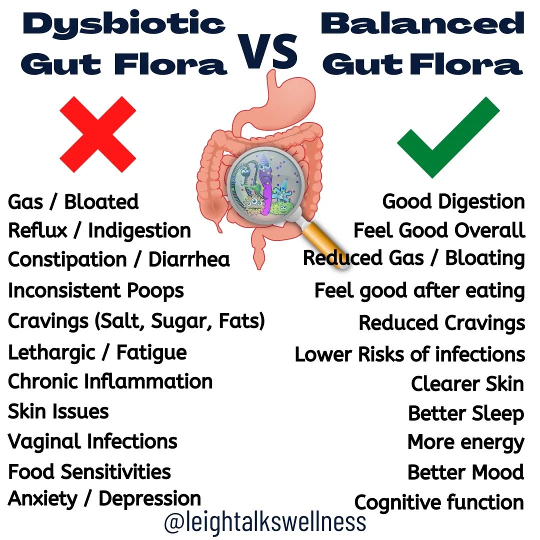 Dysbiotic Gut vs Balanced Gut Flora
Who would have thought that an IMBALANCED gut flora can cause a variety of health issues, whether it's digestive problems, skin, brain or mental health.
.
.
.
.
Are you surprised? Comment below!
#guthealing #guthealth #guthealthiseverything #guthealthmatters #healthpractitioner #healtheguthealthebody #healthchoices #healthiswealth #holistichealth #microbiome #healthygut