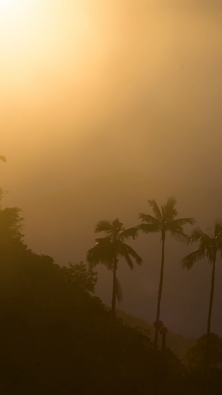 SAFARIS FOTOGRÁFICOS PARA MUJERES! 🦋
En los safaris fotográficos para mujeres nos sumergimos en plena naturaleza, afinando la mirada y practicando en el terreno.
Junto a guías expertos, biólogos y rastreadores nos adentraremos en lugares donde la fauna se muestra en todo su esplendor.
Guiándote en cada toma, verás cómo tus fotografías cobran una nueva fuerza. Tus imágenes mejorarán mucho más rápido en los Safaris que estudiando únicamente la teoría.
También descubrirás cómo transformar tu pasión en algo más grande. Compartiré contigo lo que he aprendido sobre la fotografía como profesión, cómo construir un portafolio con intención, aprenderás a darle valor a tu trabajo y explorar caminos para vivir de lo que amas.
Te beneficiarás adquiriendo mayores conocimientos fotográficos, mayores conocimiento acerca del comportamiento de la fauna, aprenderás a utilizar la fotografía como herramienta para generar ingresos, formarás fuertes vínculos con otras mujeres y tendrás una vivencia de vida que recordarás con mucho amor siempre.
Cada Safari es una experiencia transformadora para conectar con la vida silvestre y crecer fotográficamente.
-05-09/09/2026 Torres del Paine, Chile 𓃮✮
🔥ÚLTIMOS CUPOS!🔥
-05-15/11/2026 Península Antártica , Antártida ⋆꙳•̩̩͙❅*̩̩͙‧͙ ‧͙*̩̩͙❆ ͙͛
🔥ÚLTIMOS CUPOS!🔥
-27-30/01/2027 Sierra Nevada, Colombia 𓂃 ོ𓂃
Comenta safari y te envío más información ㅤ♡
#lacamaraexplora #safarifotográfico
#safarisfotograficos #safarifotografico