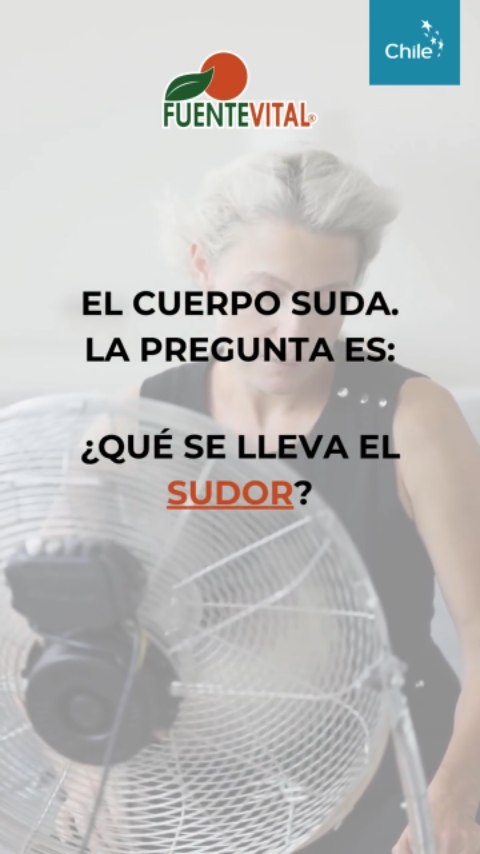 💦 El cuerpo suda.
La pregunta es: ¿Qué se lleva el sudor?
Cuando sube la temperatura, el organismo activa sus propios mecanismos de equilibrio.
La sudoración es uno de ellos: refresca, regula… pero también implica la pérdida de minerales esenciales que el cuerpo utiliza a diario para funcionar correctamente.
La naturaleza es sabia:
"Lo que se pierde, se debe reponer".
Durante el verano, el calor, la actividad física y el desgaste cotidiano aumentan los requerimientos nutricionales.
Ahí es donde Multi Mineral y Magnesio de Fuente Vital se transforma en aliados clave dentro de una nutrición consciente y equilibrada.
Productos pensados para acompañar los días de calor intenso, cuando el cuerpo necesita un apoyo nutricional constante para mantener su ritmo natural ☀️
✔️ Apto para el consumo diario
✔️ Práctico formato cápsulas
✔️ Alimento de origen natural
✔️ Ideal para temporadas de calor y mayor exigencia física
📍 Disponible en farmacias y tiendas naturistas de todo el país
Consumidores: pregúntalo en tu farmacia o tienda naturista de confianza
Farmacias y locales: un esencial de verano que no puede faltar en vitrina
#VeranoConsciente #NutriciónNatural #FuenteVitalChile #MultiMineral
#Magnesio #MineralesEsenciales #CalorDeVerdad #TemporadaDeCalor
#FarmaciasChile #TiendasNaturistas #AlimentosNaturales
#VidaActiva #BienestarDiario #EquilibrioNatural
