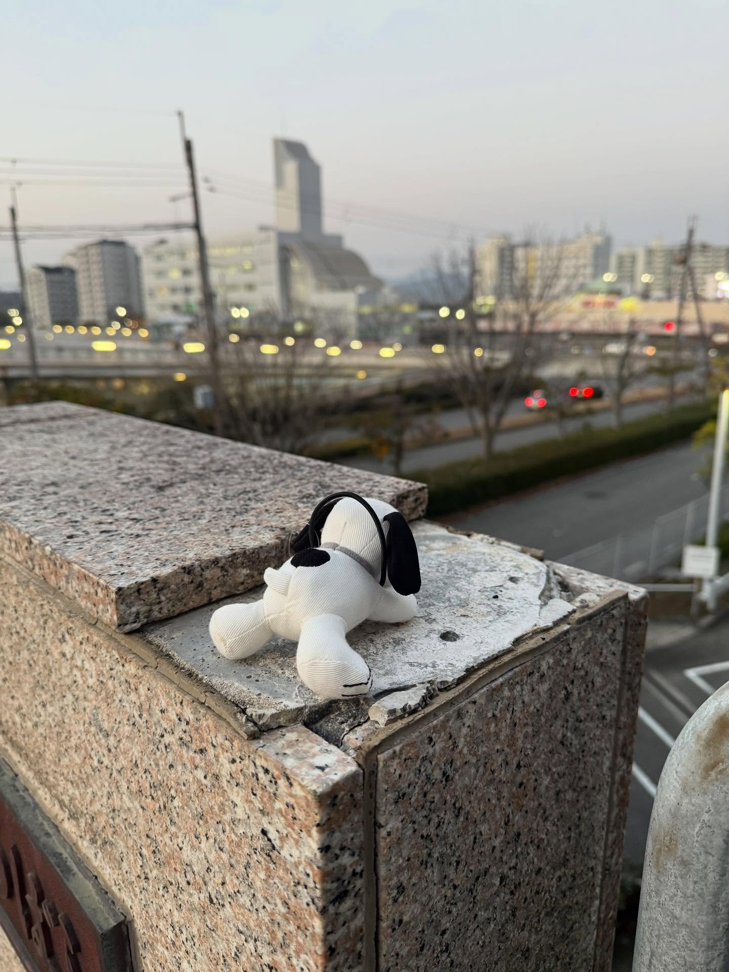 -
落とし主さん
氷点下になる前にお迎え
ヨロシク!
Web site
https://www.yumework.cc
🇯🇵
#favoriteplace #onthewayhome
#三田市
#忠犬スヌーピー
#落とし物