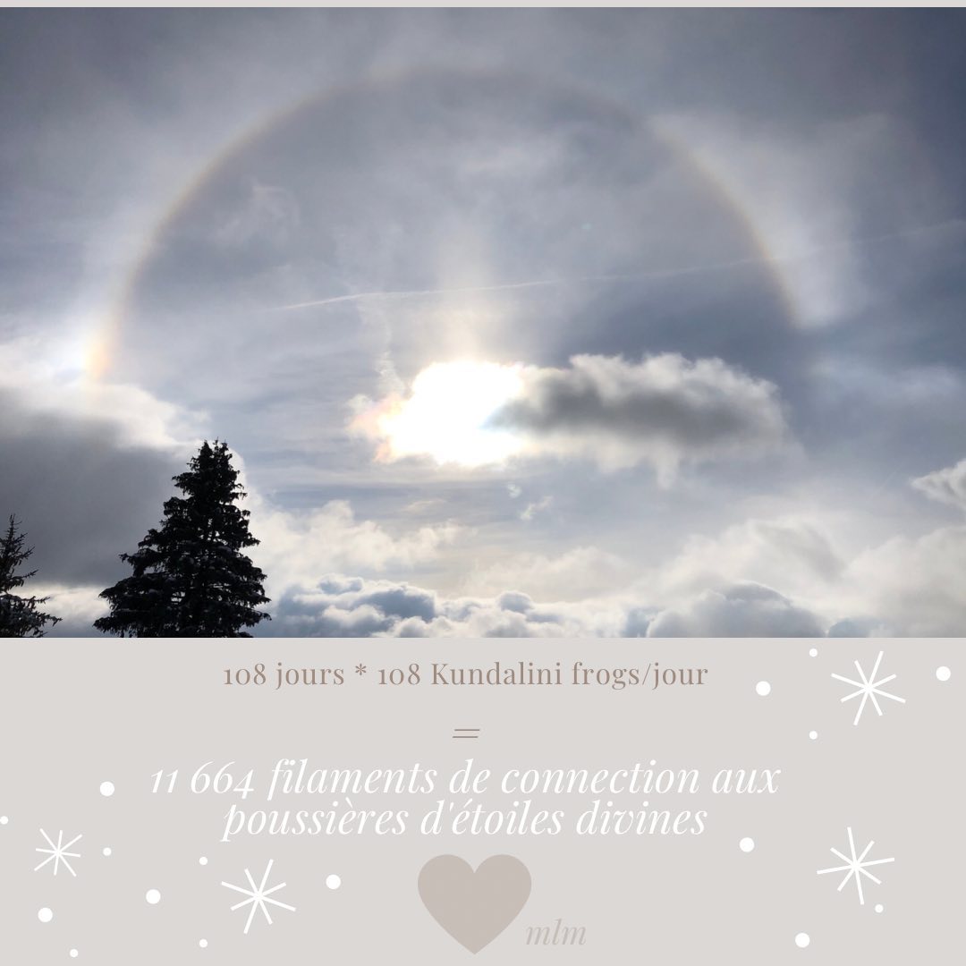 31 décembre, je propose de faire classer cette année aux Guinness book des records ! Qu’en pensez vous ? Parfois la persévérance vous offre des cadeaux ... c était samedi dernier mais aujourd’hui la persévérance m a offert un autre cadeau ... savourez chaque seconde de cette année millésimée et rendez vous en 2021 , may love, joy, enthusiasm for life and freedom bless your heart #loveyourself