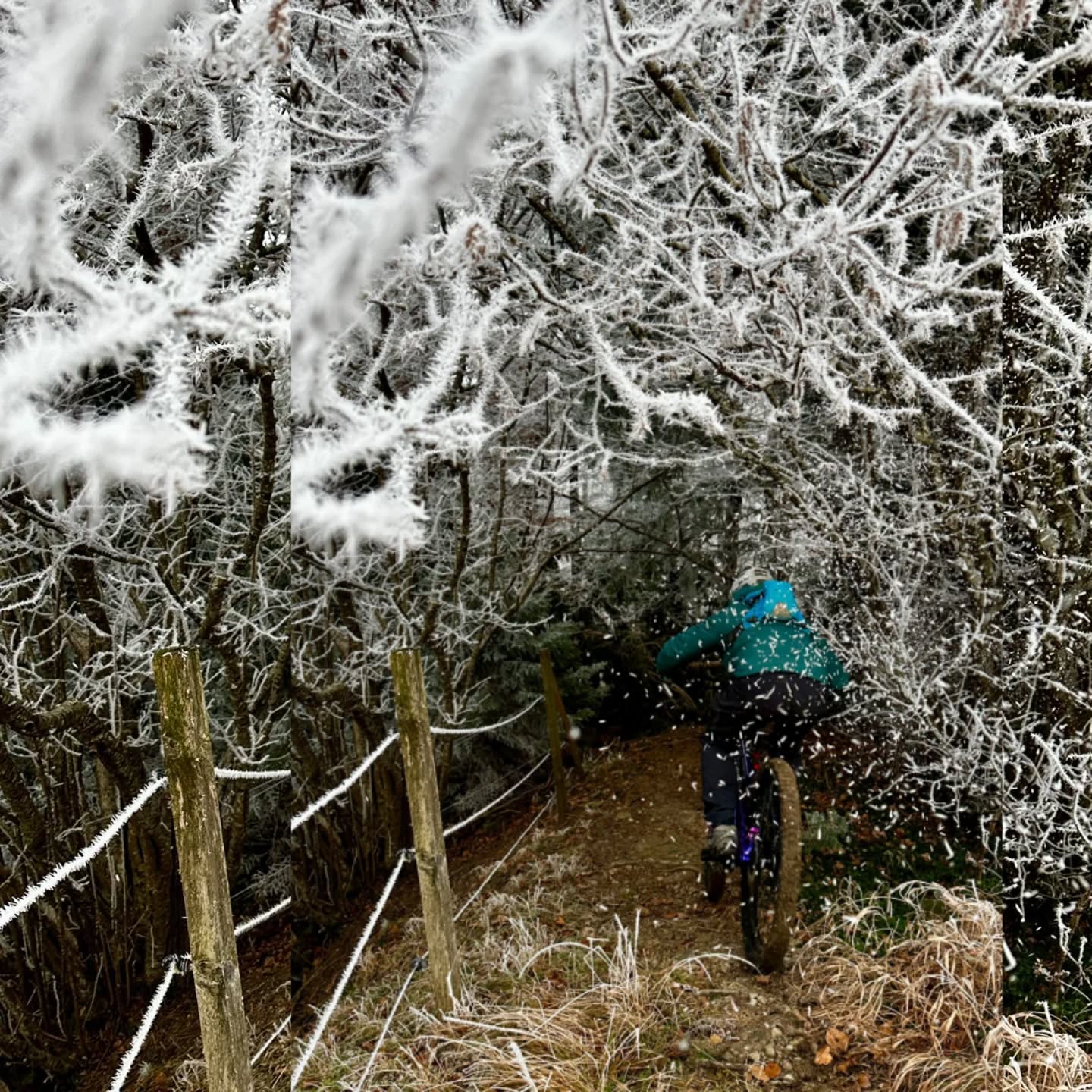 Wir wünschen euch ein tolles Wocheende.🏔
Mit Ski/ Snowboard oder auf dem Bike 💪
www.stoeri-herisau.ch
#mtbswitzerland#stoeri2radcenterherisau#mtbenduro#mountains