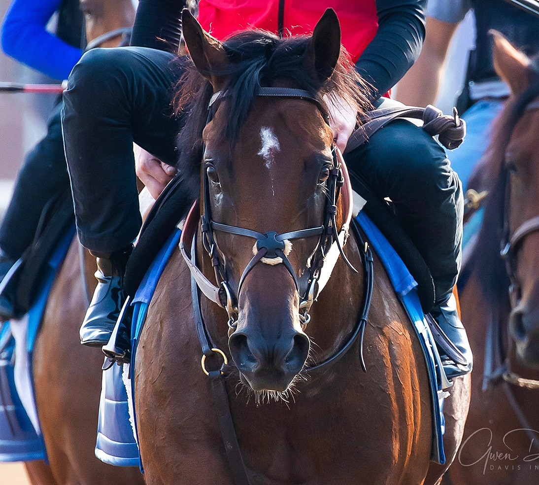 A beautiful @brendanwalsh978 trainee.