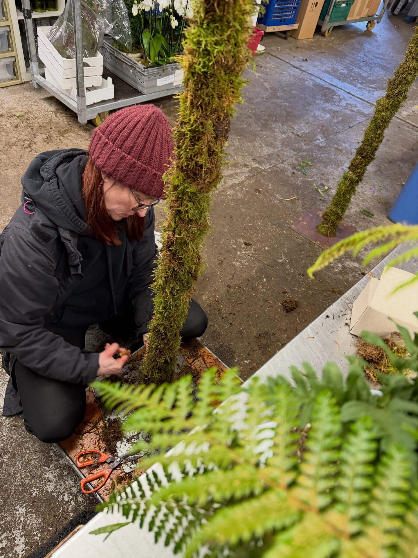Another day another project! Watch this space.
#blomsterdekoratör #floralartist #floralartistry #floralscape #floraldisplay