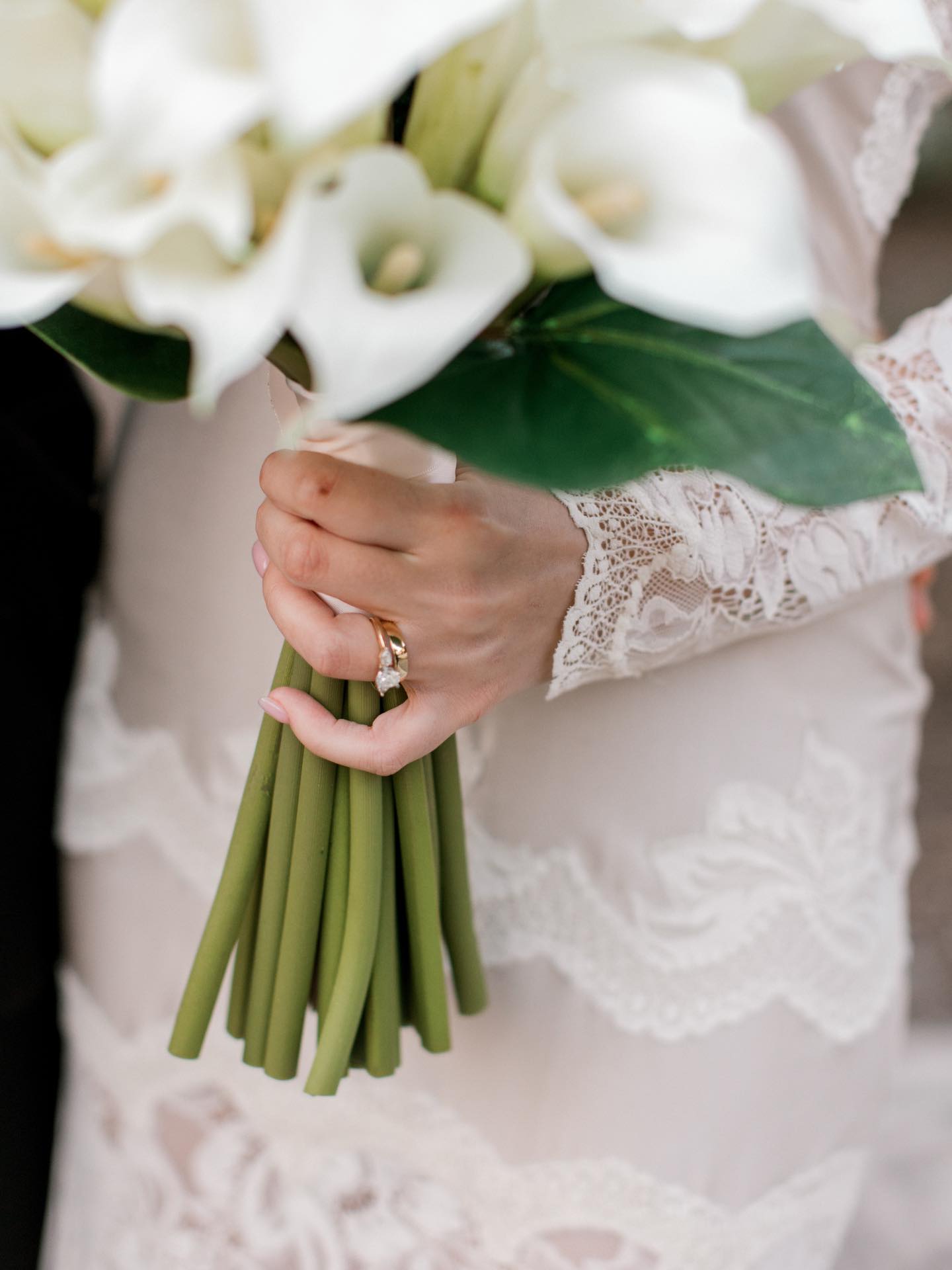 d e t a i l s u p c l o s e 🤍🌿🦆✨🪶🕯️🕊️❤️
#mckinneywedding #westernglamwedding #intimatewedding #texaswedding #mckinneyweddingphotographer