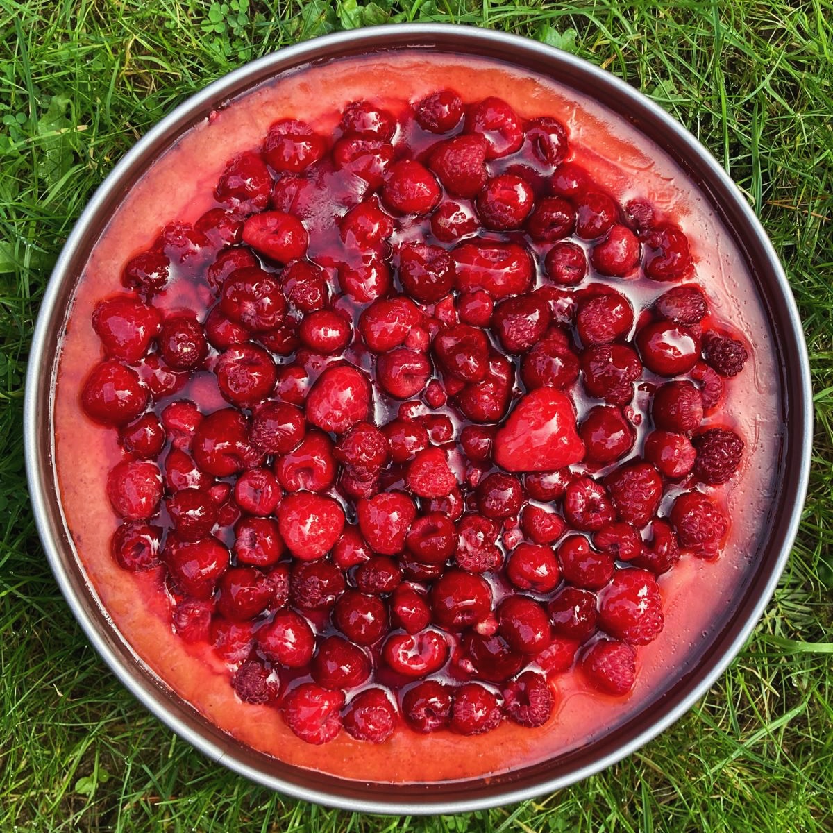 Leckereien, die es dieses Wochenende im Café gibt: Himbeer-Schmand, Stachelbeer-Baiser, Altländer Apfelkuchen und Russischer Zupfkuchen! Und für Veganer gibt es eine Zitronentarte!