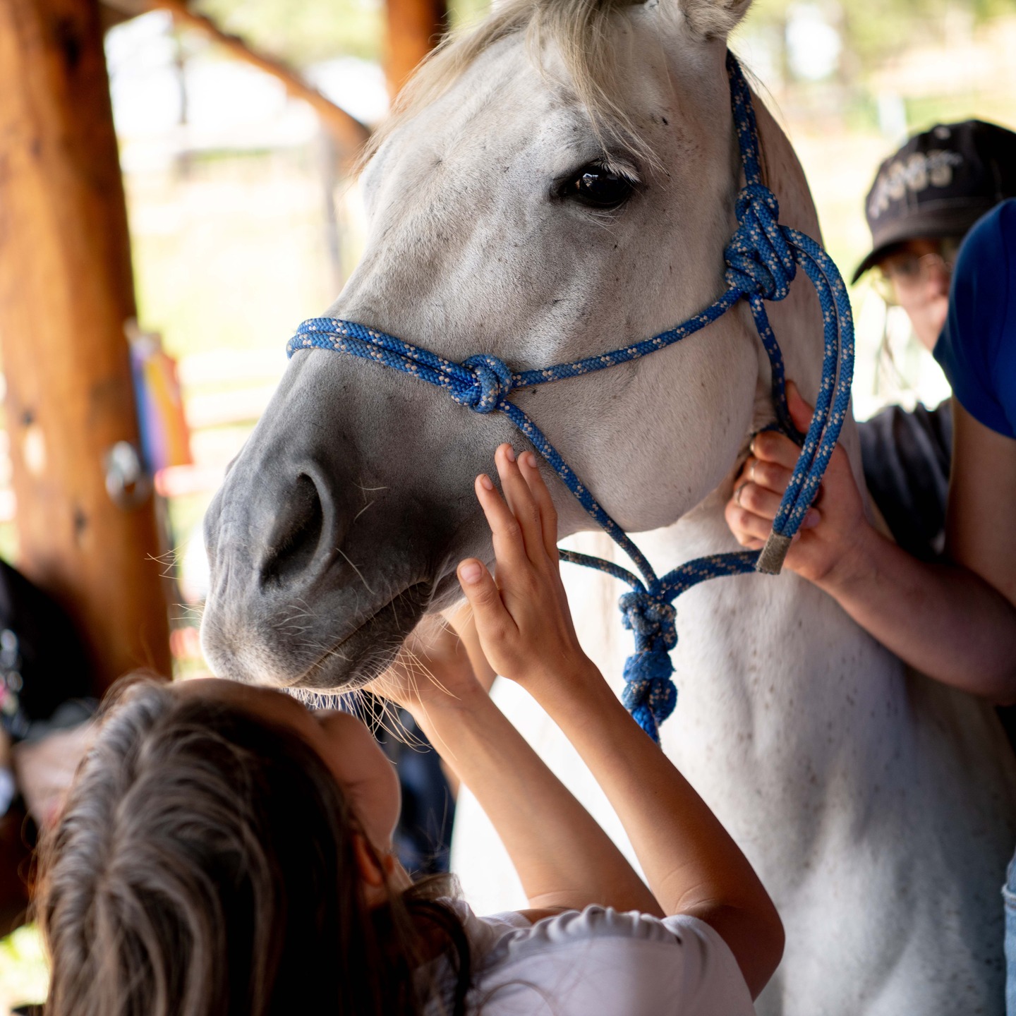 Do you think the horses miss summer as mush as we do?
.
.
.
#summercamp #horses #horsegirl #colorado #coloradosummercamp #coloradosummer #horsecrazy
