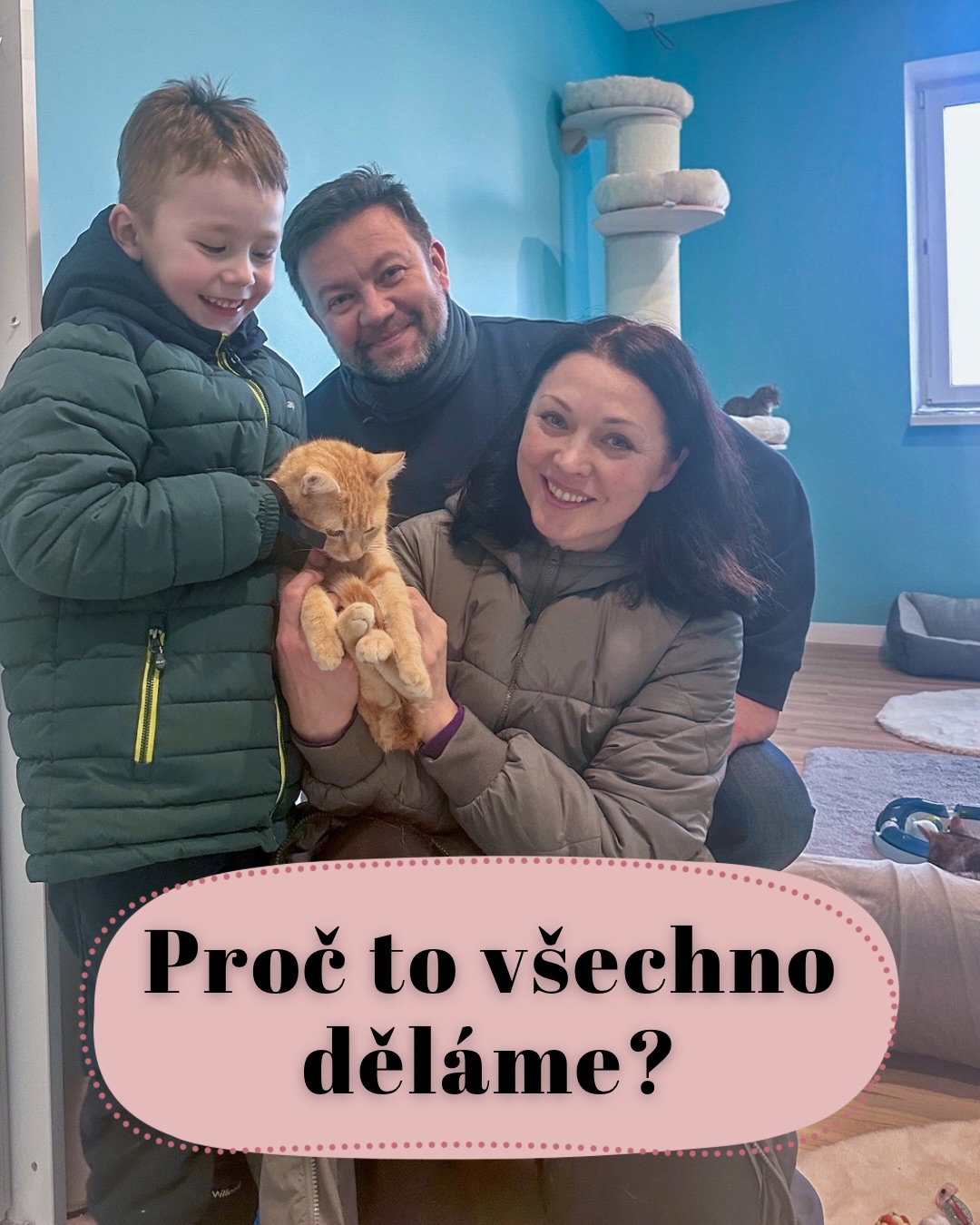 „Utratte je, nevyplatí se to. Jsou to vyhozené peníze.“ 💬🚫
Tohle jsou komentáře, které občas čteme u našich nejtěžších případů. Kdybychom se jimi řídili, Šklíba by dnes byla smutným místem. Ale my věříme na zázraky (a na špičkovou veterinární péči!). 🩺✨
Dnes odcházejí do svých vysněných domovů další kočičí bojovníci. Ti, o kterých mnozí pochybovali. Ti, které někteří už dopředu odsoudili. A podívejte se na ně teď – jsou zdraví, milovaní a připravení začít novou kapitolu života. ❤️🐈
Děkujeme, že stojíte při nás a že nám pomáháte dokazovat, že žádný kočičí život není „plýtváním“. Každé vaše sdílení a každá koruna na veterinu jsou investicí do těchto šťastných konců. 🏆
Máme nejlepší fanoušky na světě. Děkujeme, že v tom jedete s námi!
Terka ze Šklíby 🐾