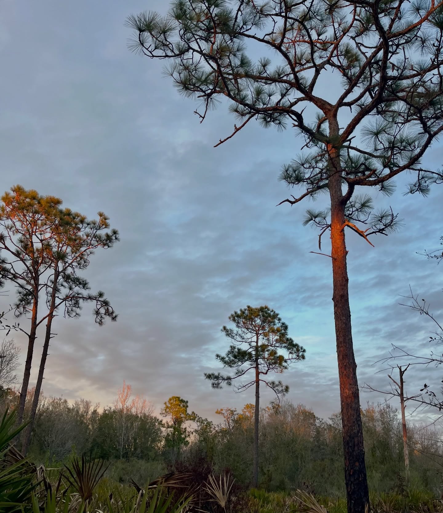 “Darkness cannot drive out darkness; only light can do that. Hate cannot drive out hate; only love can do that.” Martin Luther King Jr