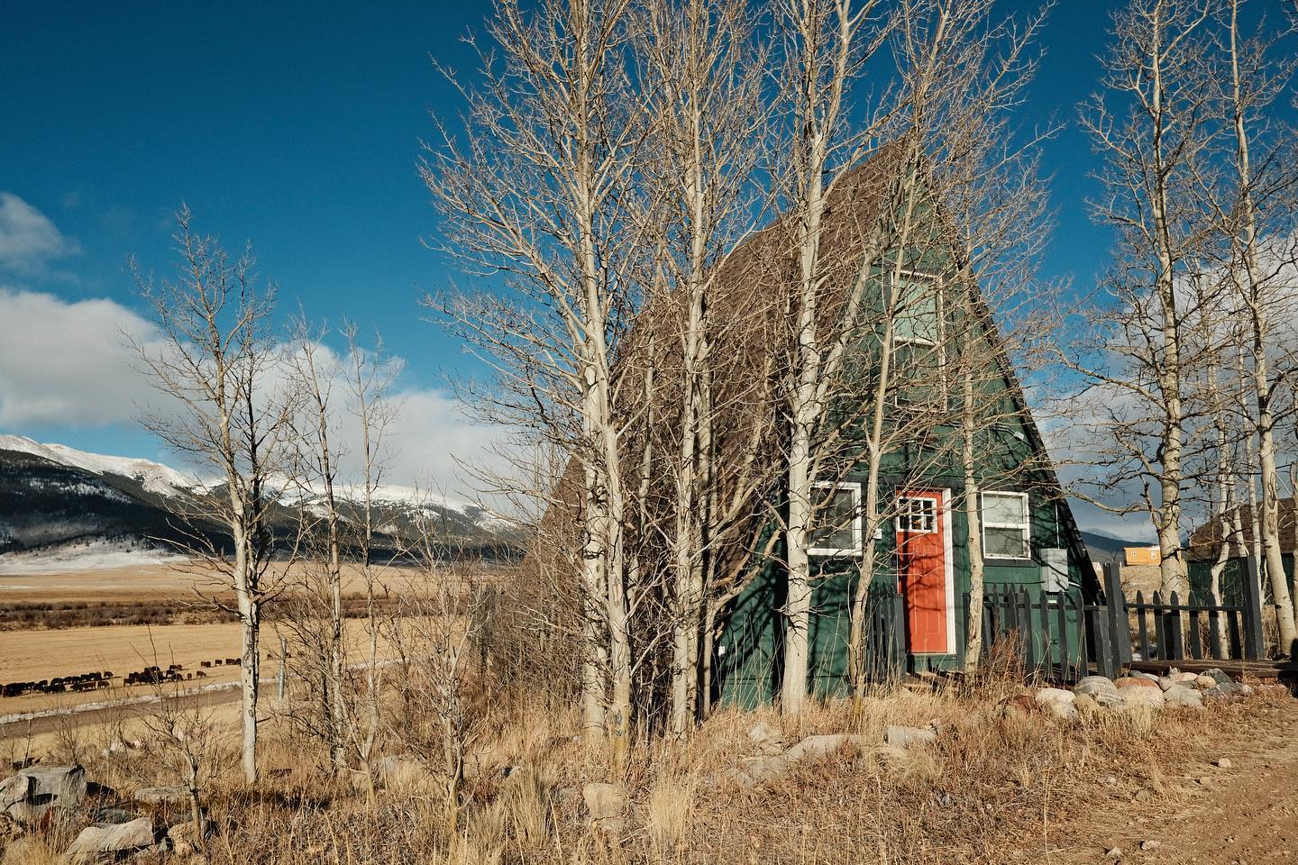 The cows get better reviews than the cabin itself. 😂 It’s totally understandable though. They’re cute. Little known fact: Colorado is an open range state, so the cattle roam freely. Last summer, a guest caught some cows hanging out on the deck at Triangle 2. 🐮🐄
#coloradoviews #trianglecabin #cabinview #parkcountycolorado #aframe #aframecabin #coloradoairbnb #coloradovacationrental #aframehouse #coloradotrip #coloradotravel