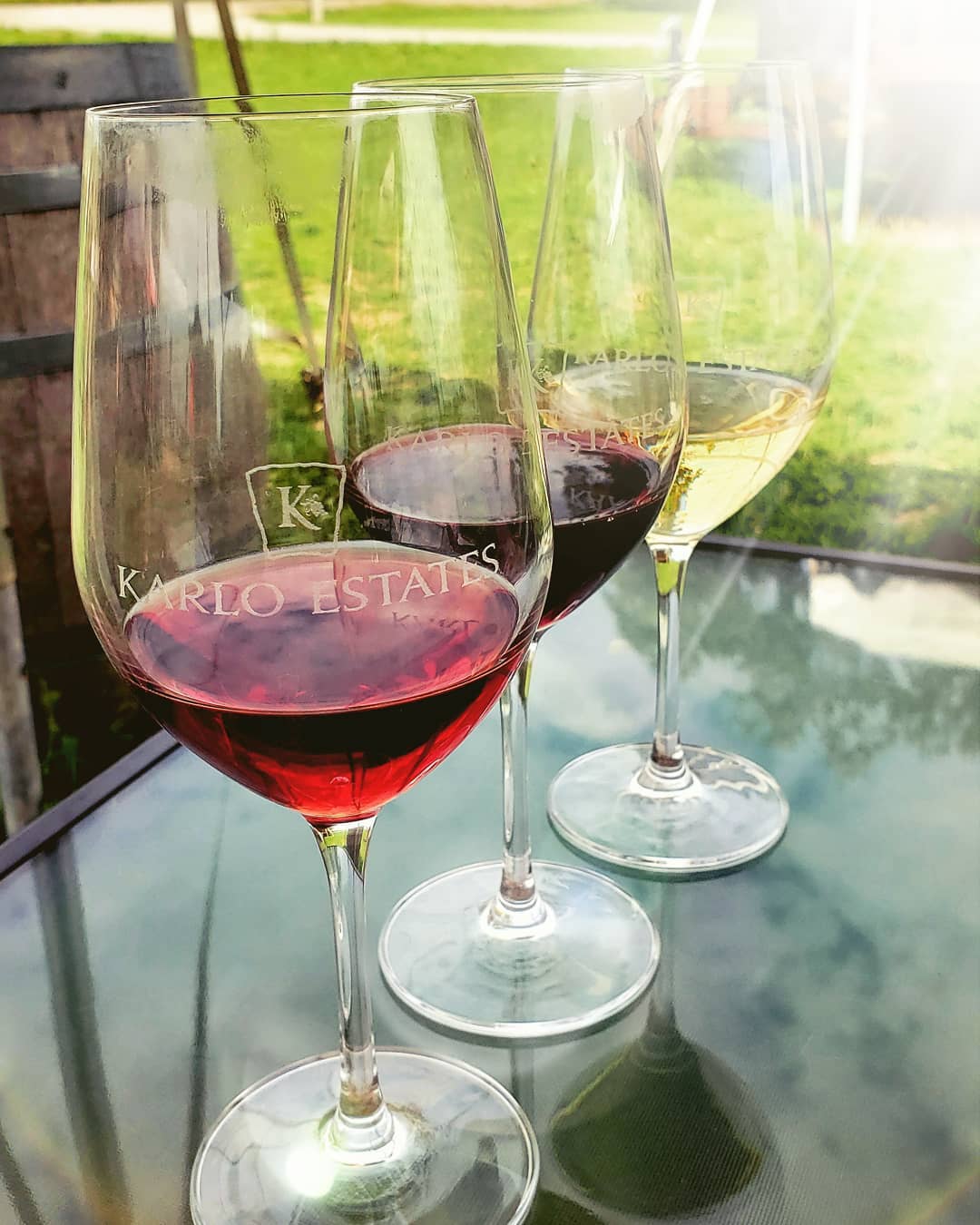 Take me back to wine country ❤️ where the grass was green, the sun was warm, and the wine was truly refined 🍷 much like the company I got to know better in my time there @amodcitizen. I've never bought a bottle of wine for more than 25 dollars, and never thought I would, but the 2018 Chardonnay @karloestateswinery was worth EVERY PENNY. I will return, you havn't seen the last of me Prince Edward County!
.
.
.
.
.
#winerylife #winetasting #wineoclock #winestagram #winemakers #wineglass #vineyard #wineenthusiast #wineenthusiasts #wineexpert #wineeducation #wineonline #drinkoftheday #winelabel #winecountry #karlostates #bestchardonnay #todiefor #picton #princeedwardcounty #photographylife #lenseflare #likeaboss #dontdrinkanddrive #winelover #newfrienships